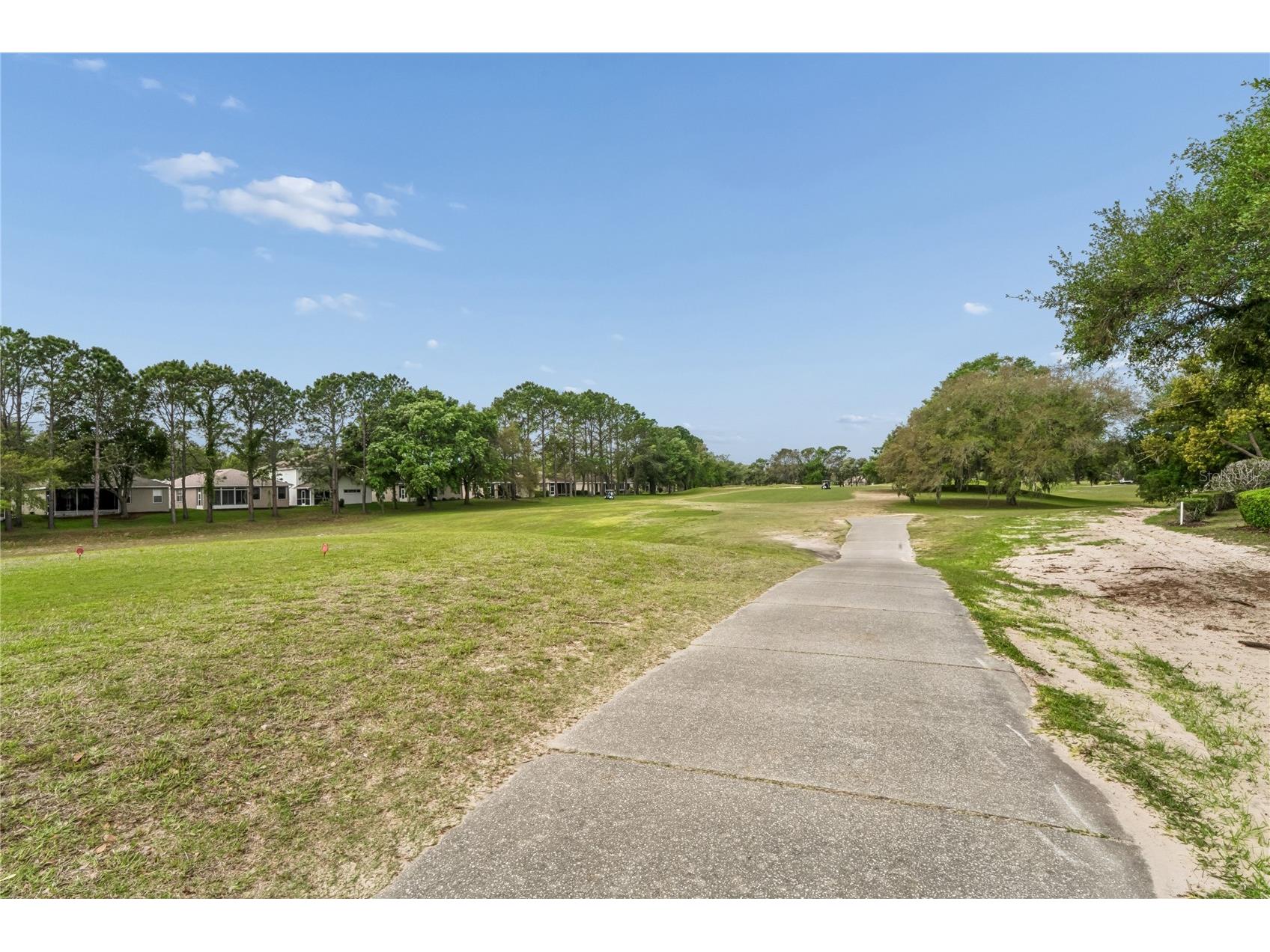 14466 Tamarind Loop Spring Hill FL 34609 W7884209 image47