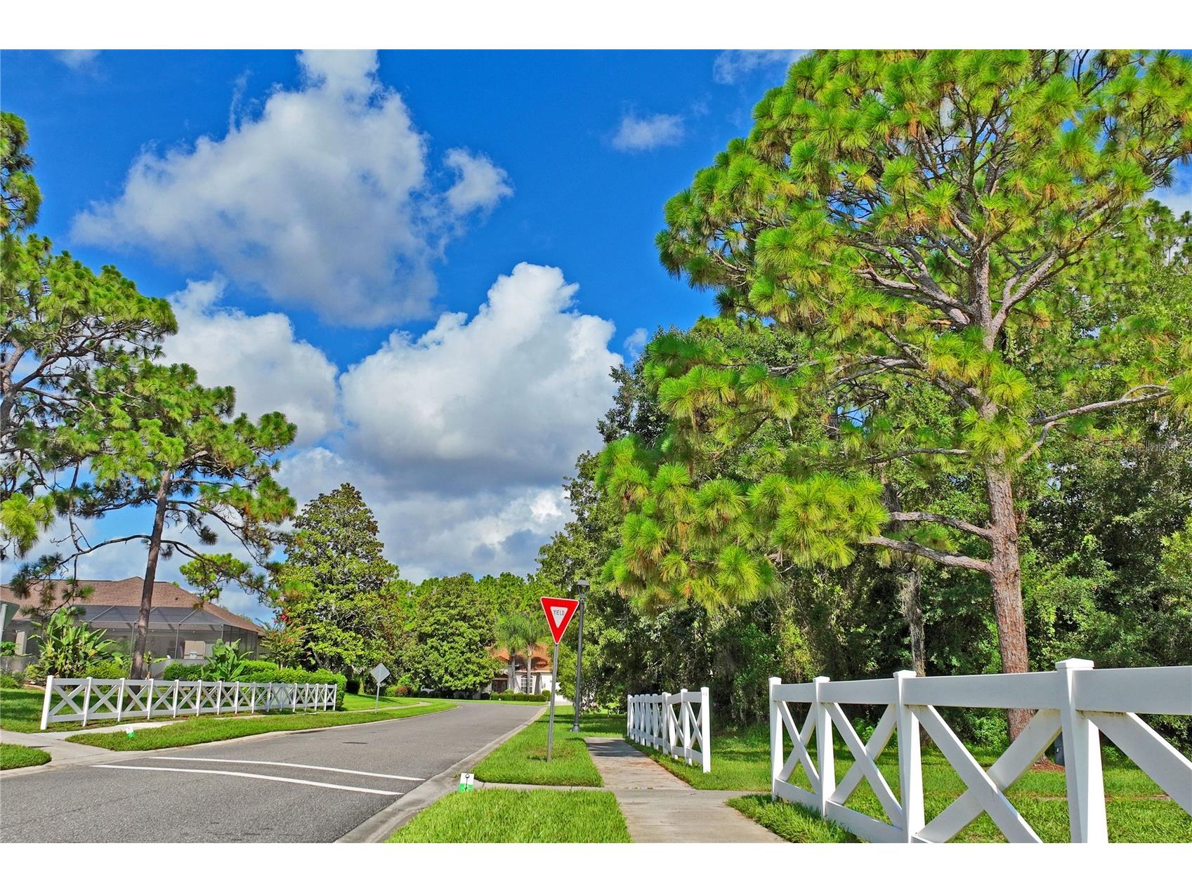 14466 Tamarind Loop Spring Hill FL 34609 W7884209 image58