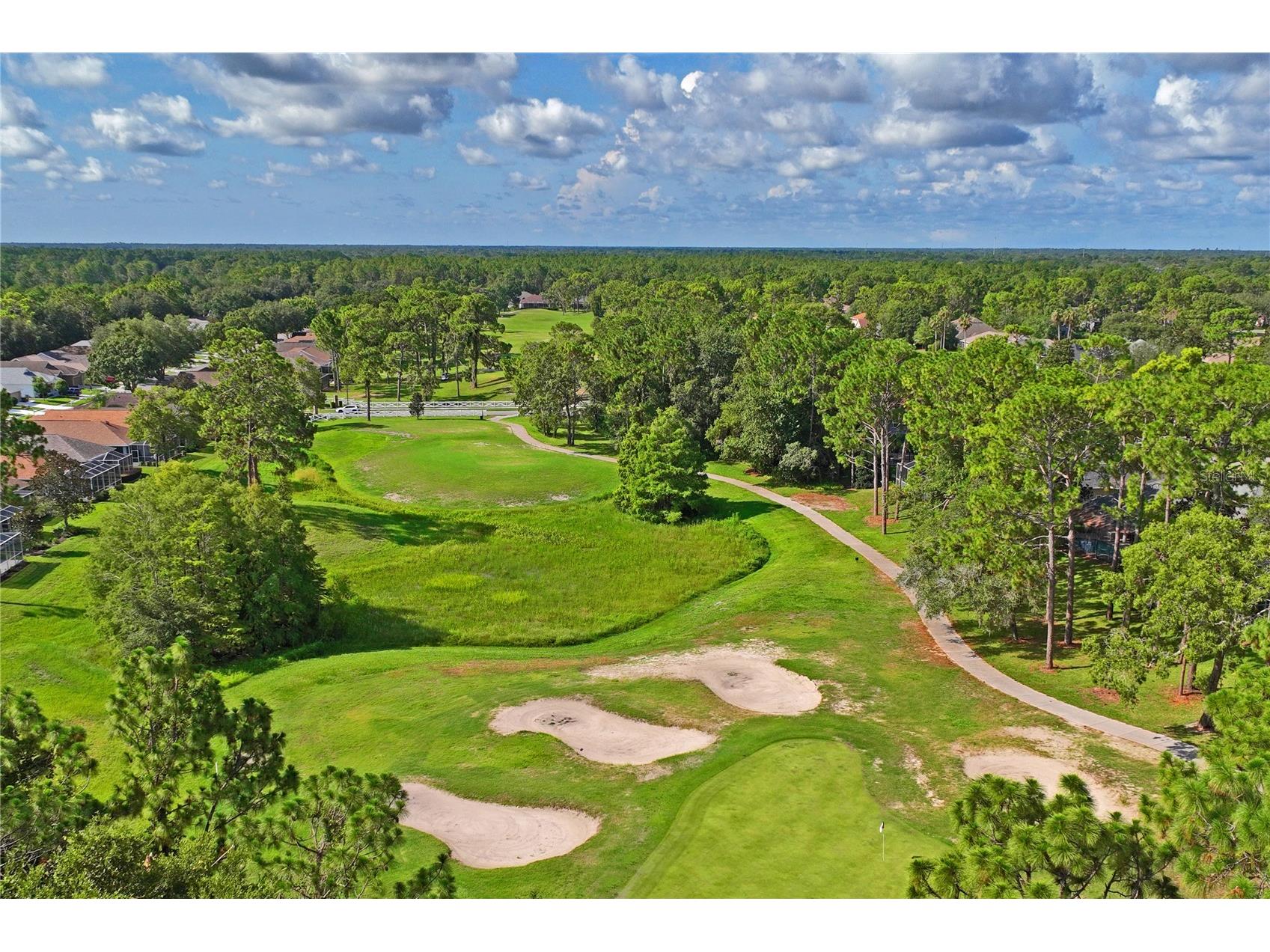 14466 Tamarind Loop Spring Hill FL 34609 W7884209 image63