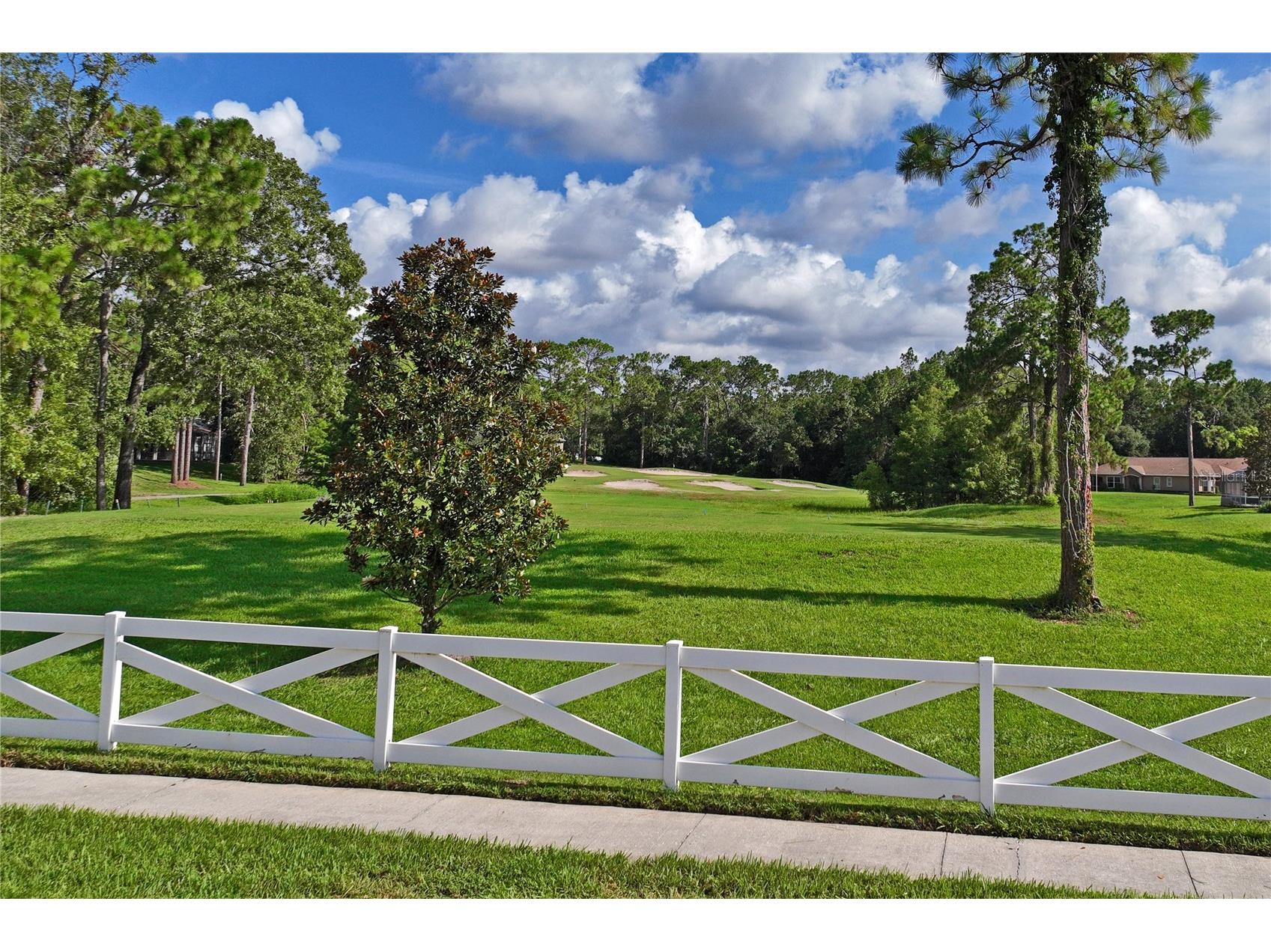 14466 Tamarind Loop Spring Hill FL 34609 W7884209 image65