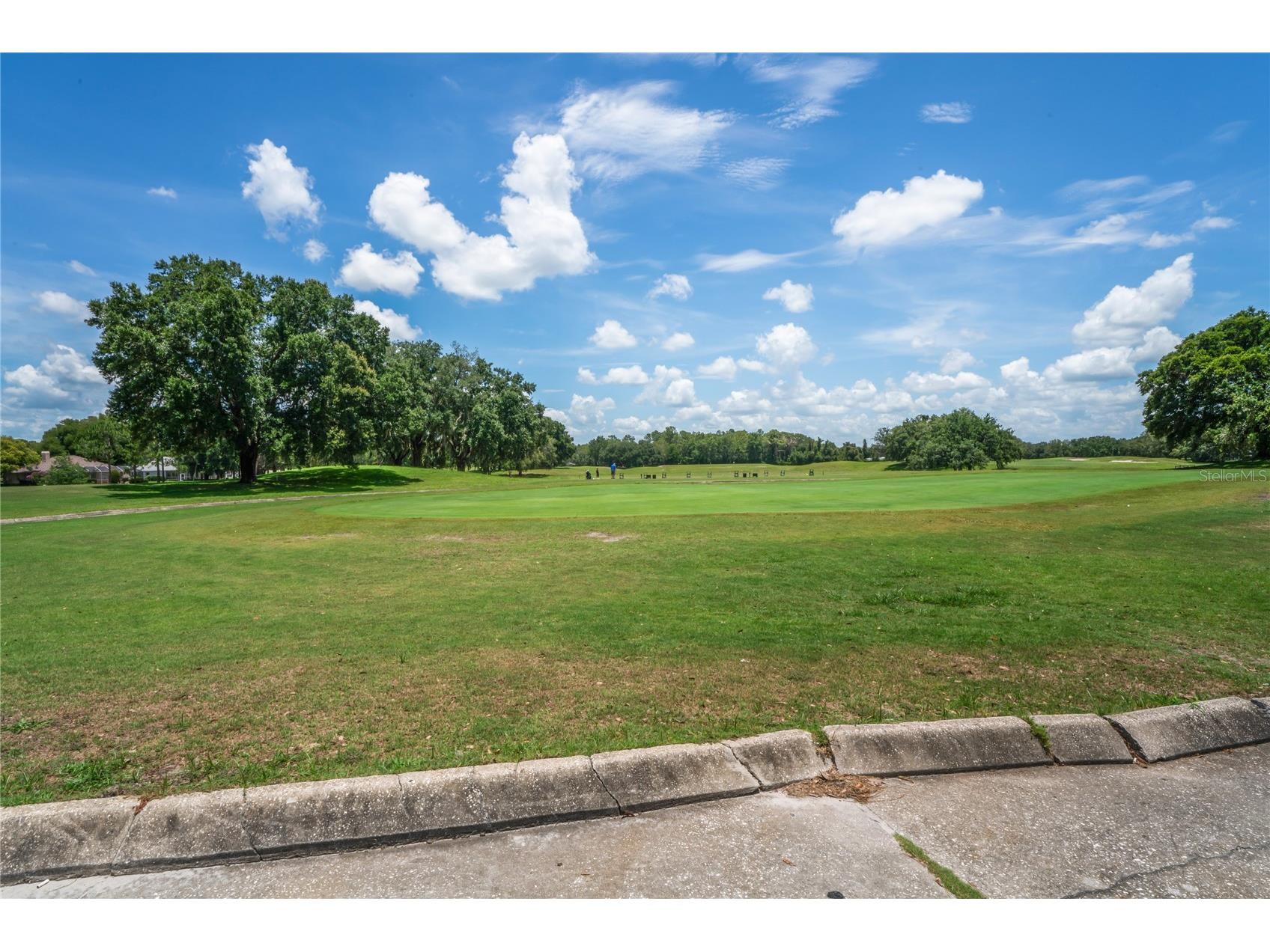 14466 Tamarind Loop Spring Hill FL 34609 W7884209 image81
