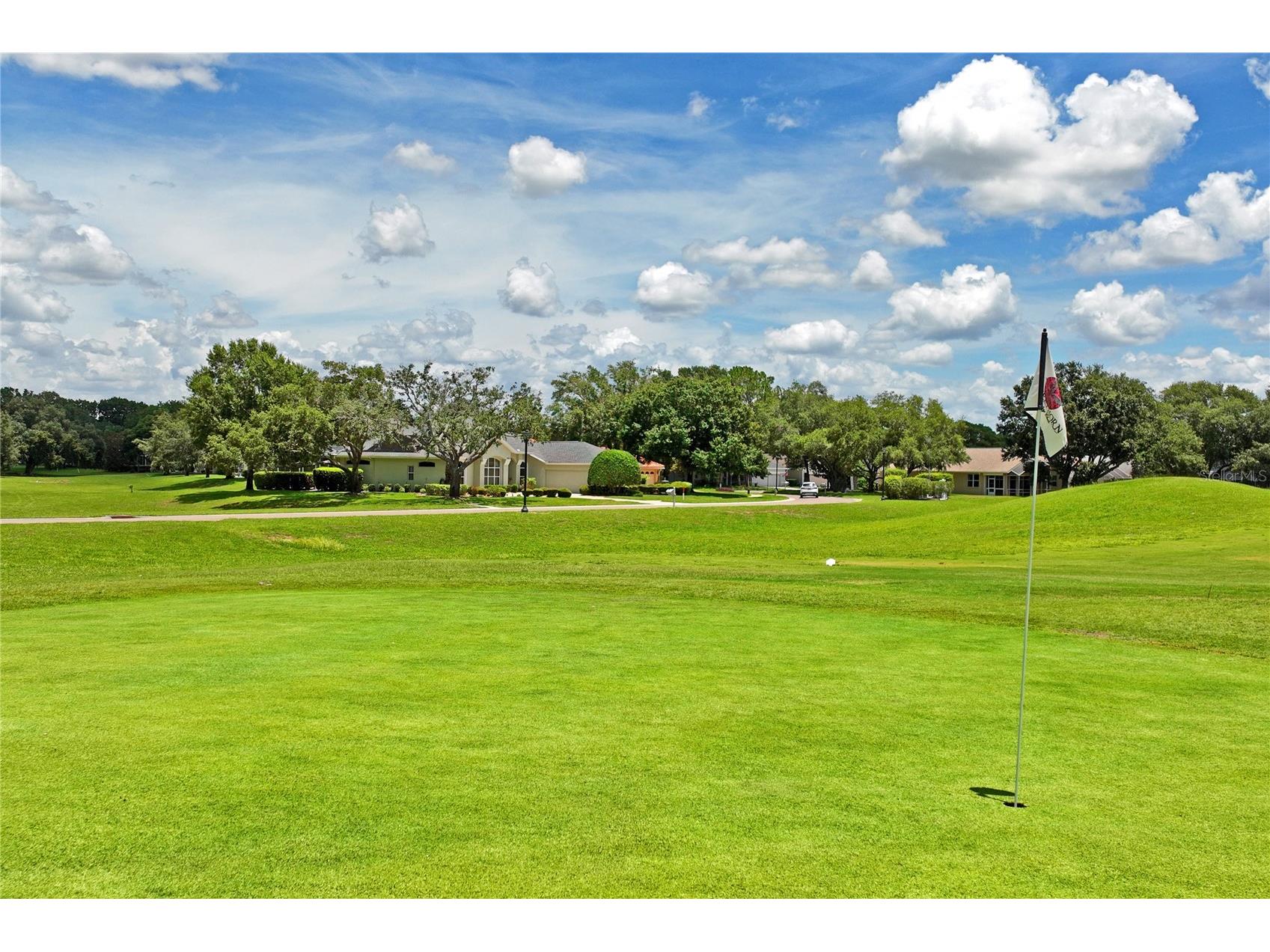 14466 Tamarind Loop Spring Hill FL 34609 W7884209 image83
