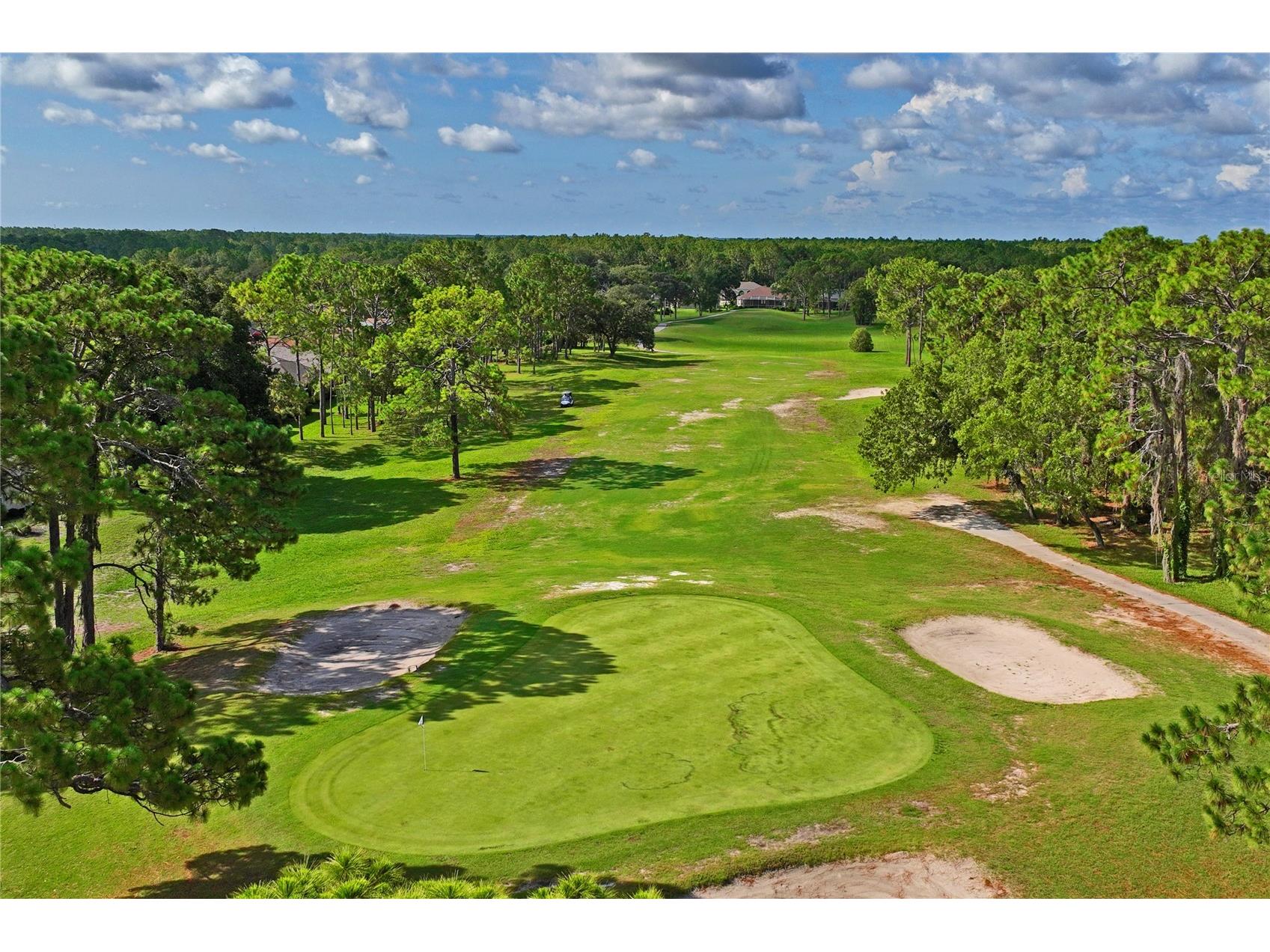 14466 Tamarind Loop Spring Hill FL 34609 W7884209 image84
