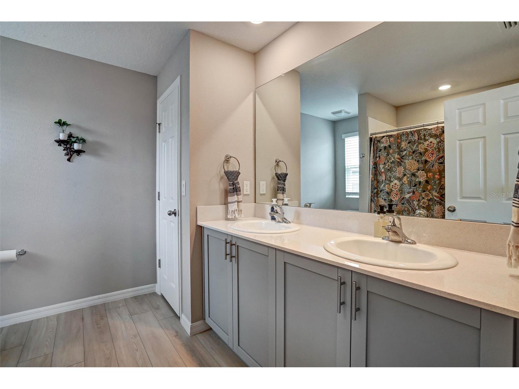 14468 Meadow Bird Avenue Riverview FL 33579 TB8486903 image32