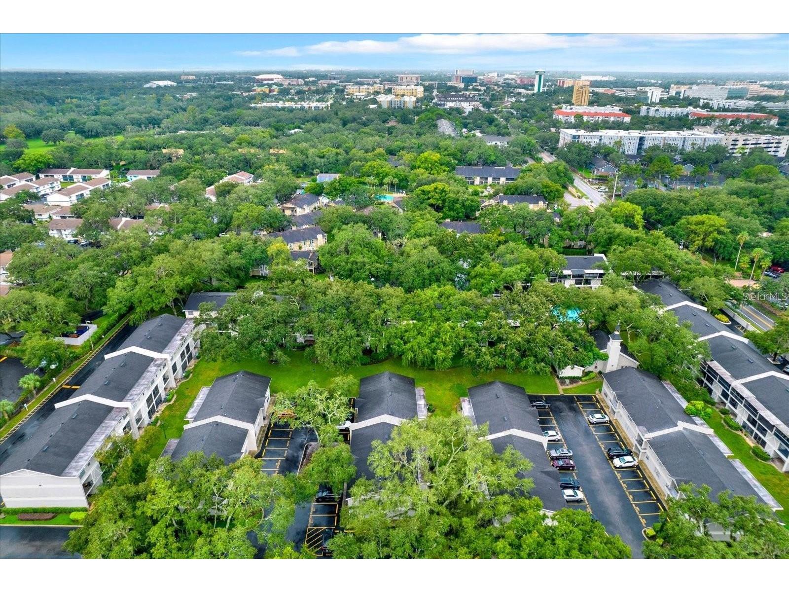 14468 Reuter Strasse Circle #503 Tampa FL 33613 S5149013 image24