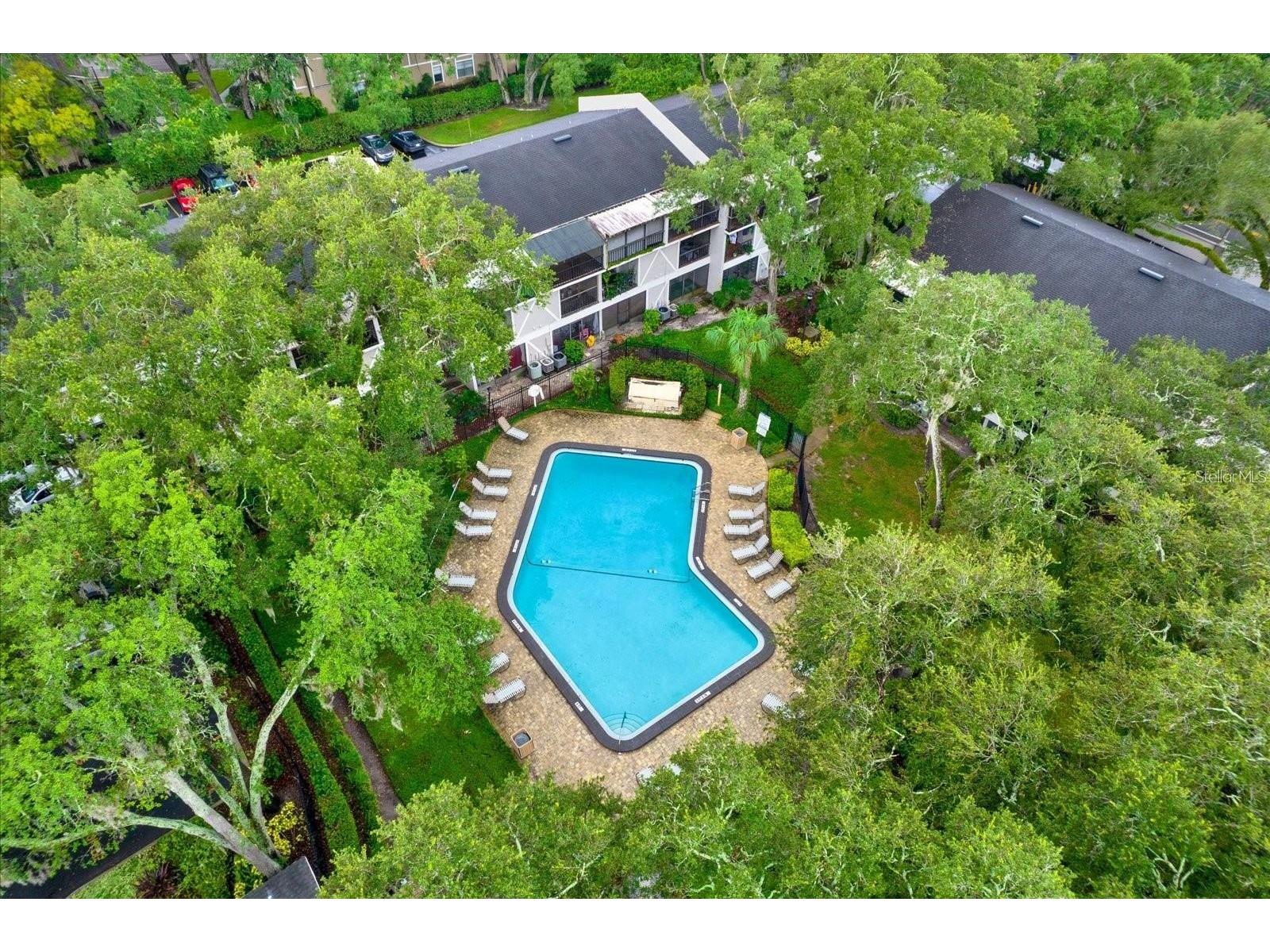 14468 Reuter Strasse Circle #503 Tampa FL 33613 S5149013 image25