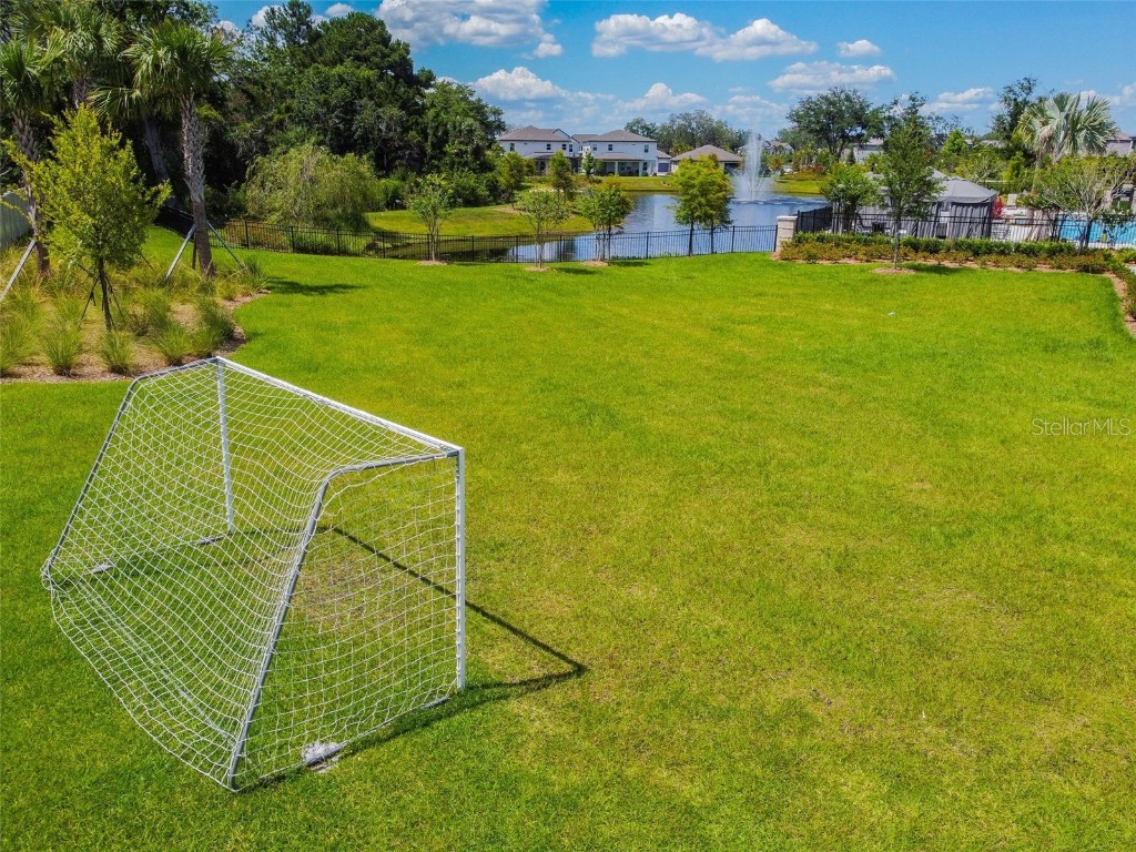 1447 Broad Wing Lane Winter Park FL 32792 O6336213 image51