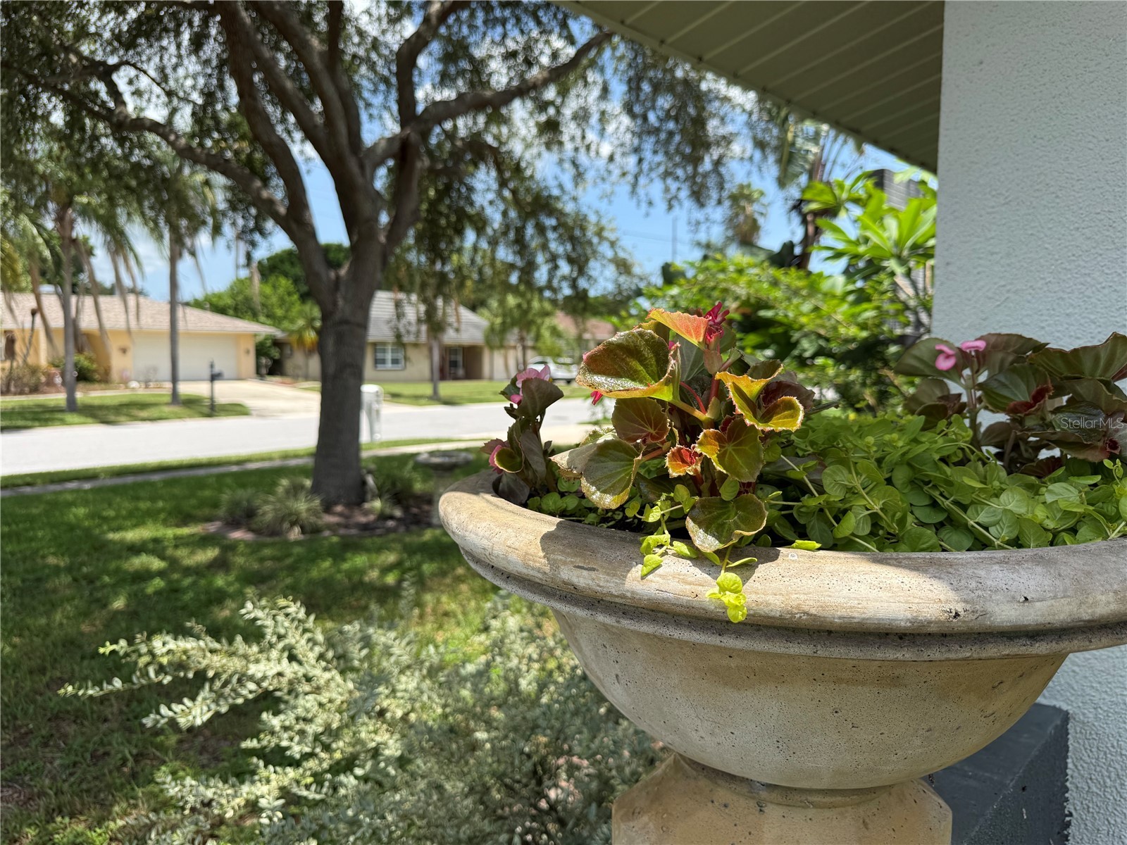 1447 Byram Drive Clearwater FL 33755 TB8531368 image38