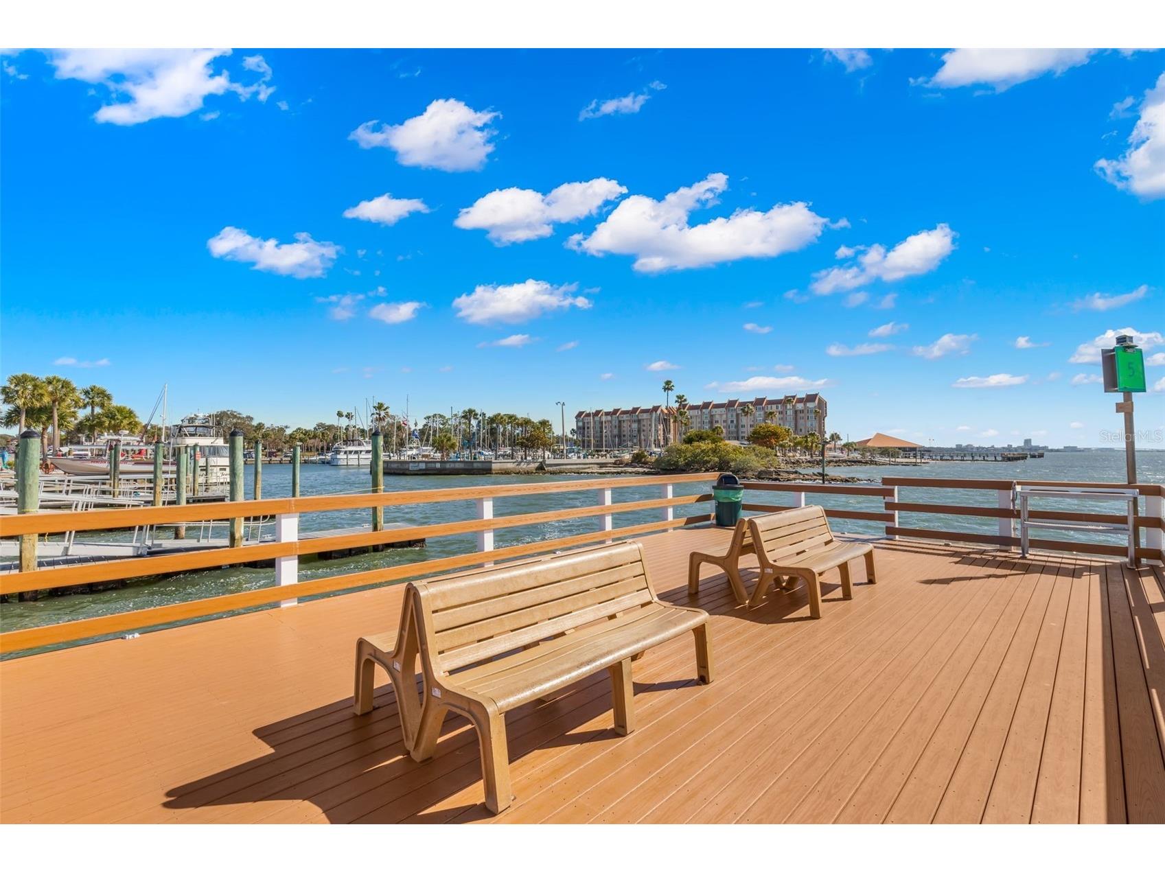 1447 Byram Drive Clearwater FL 33755 TB8531368 image50