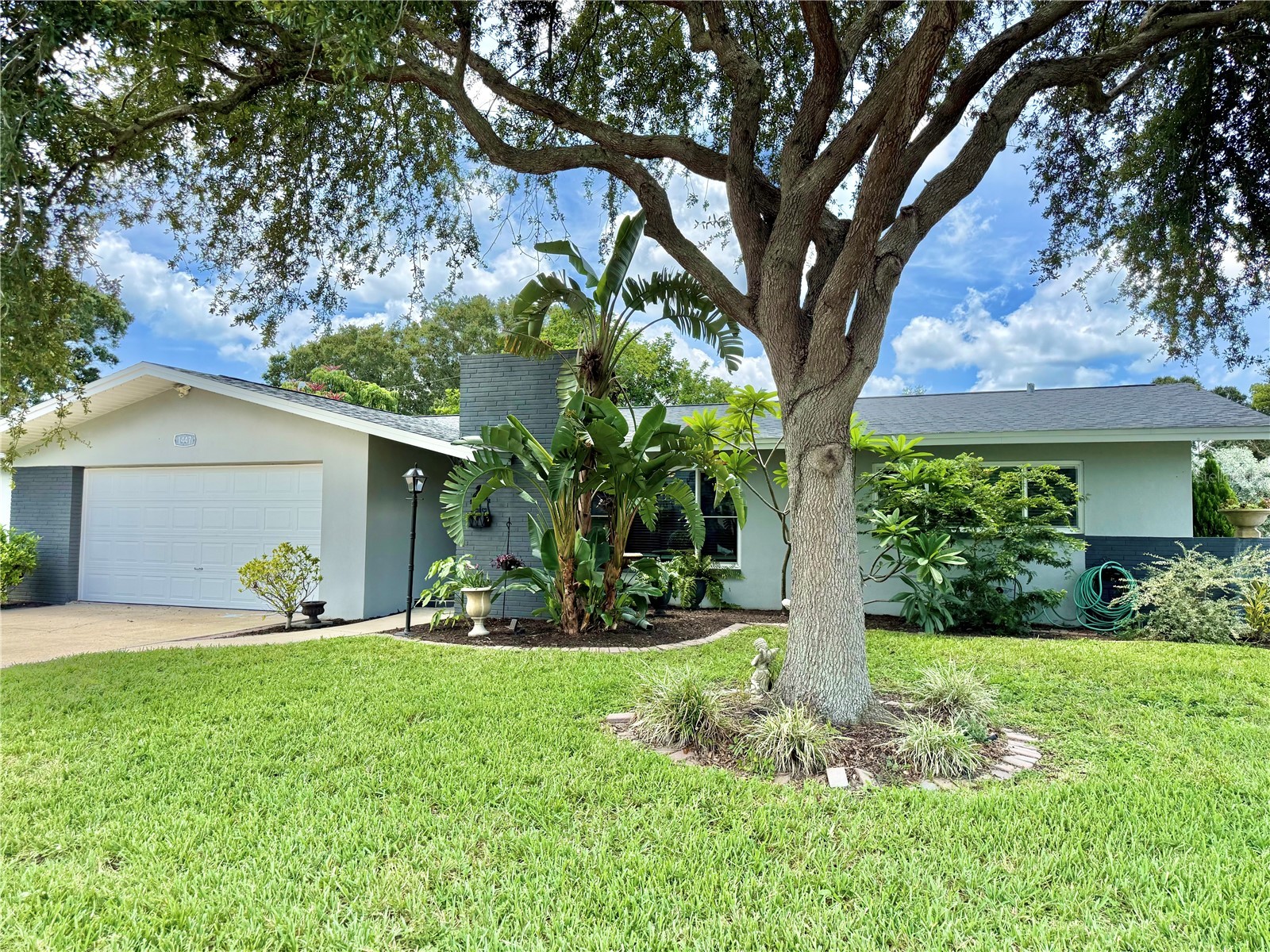1447 Byram Drive Clearwater FL 33755 TB8531368 image58