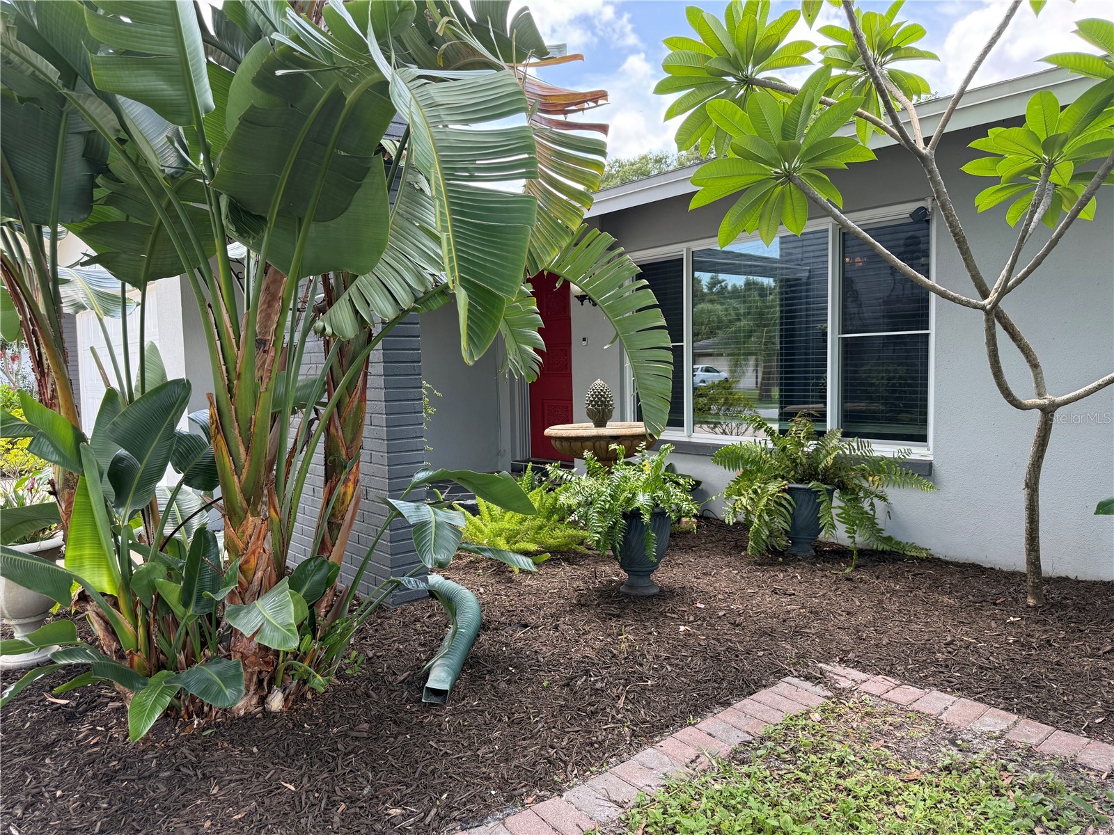 1447 Byram Drive Clearwater FL 33755 TB8531368 image59