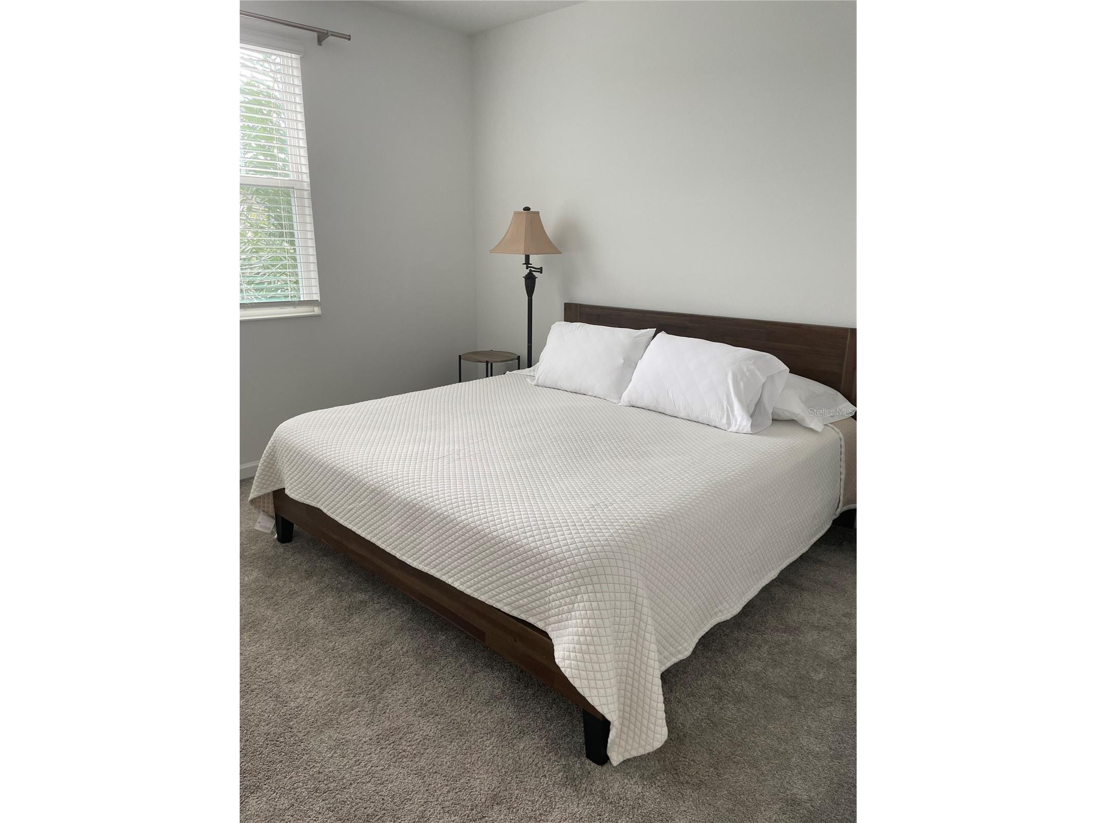 1447 Roxy Lane Winter Garden FL 34787 S5149601 image17
