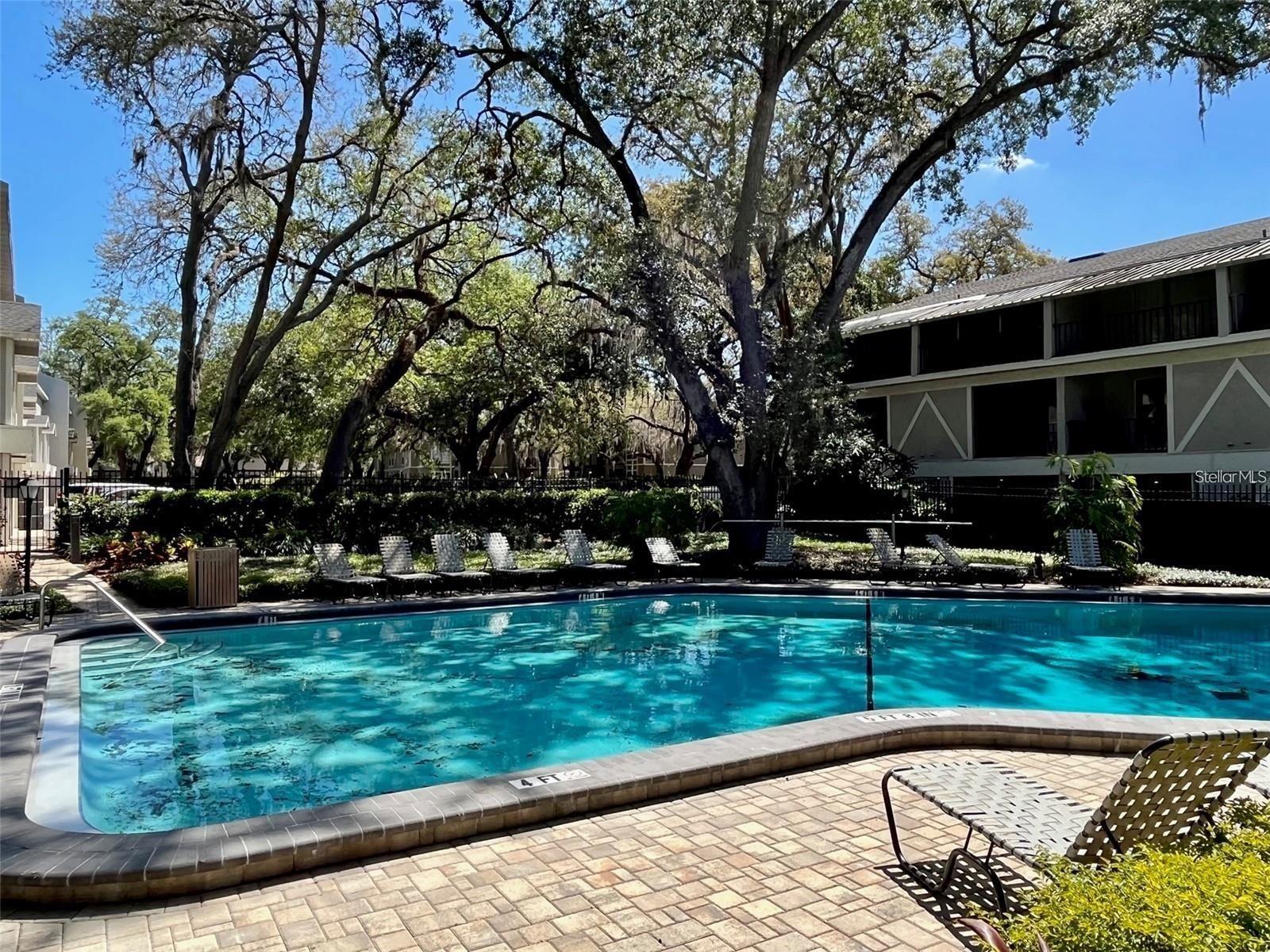 14470 Reuter Strasse Circle #405 Tampa FL 33613 TB8488345 image19