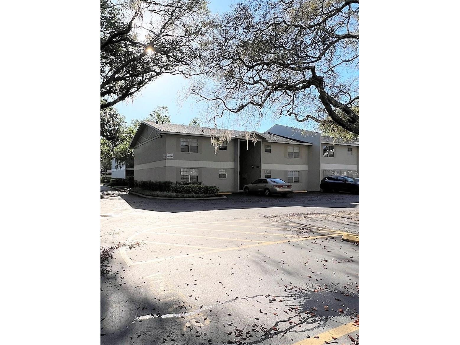 14470 Reuter Strasse Circle #405 Tampa FL 33613 TB8488345 image4