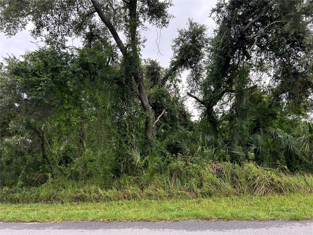 14473 and 295 Elwood Avenue Port Charlotte FL 33953 A4614093 image1