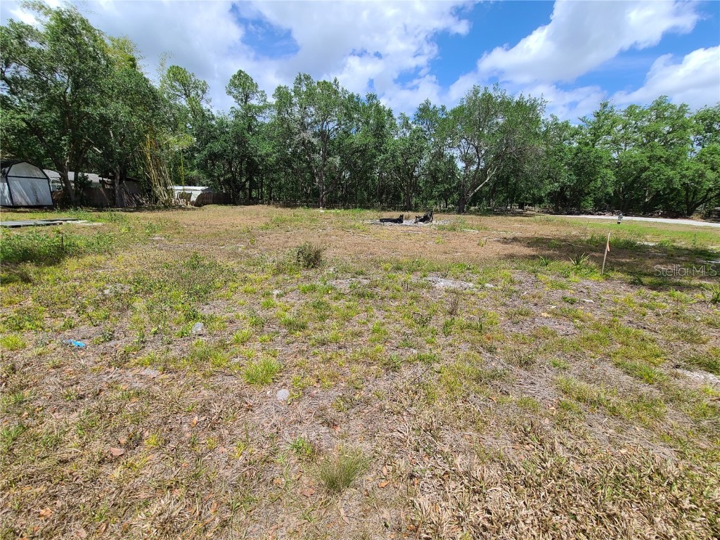 1448 Immokalee Street Intercession City FL 33848 S5083317 image1