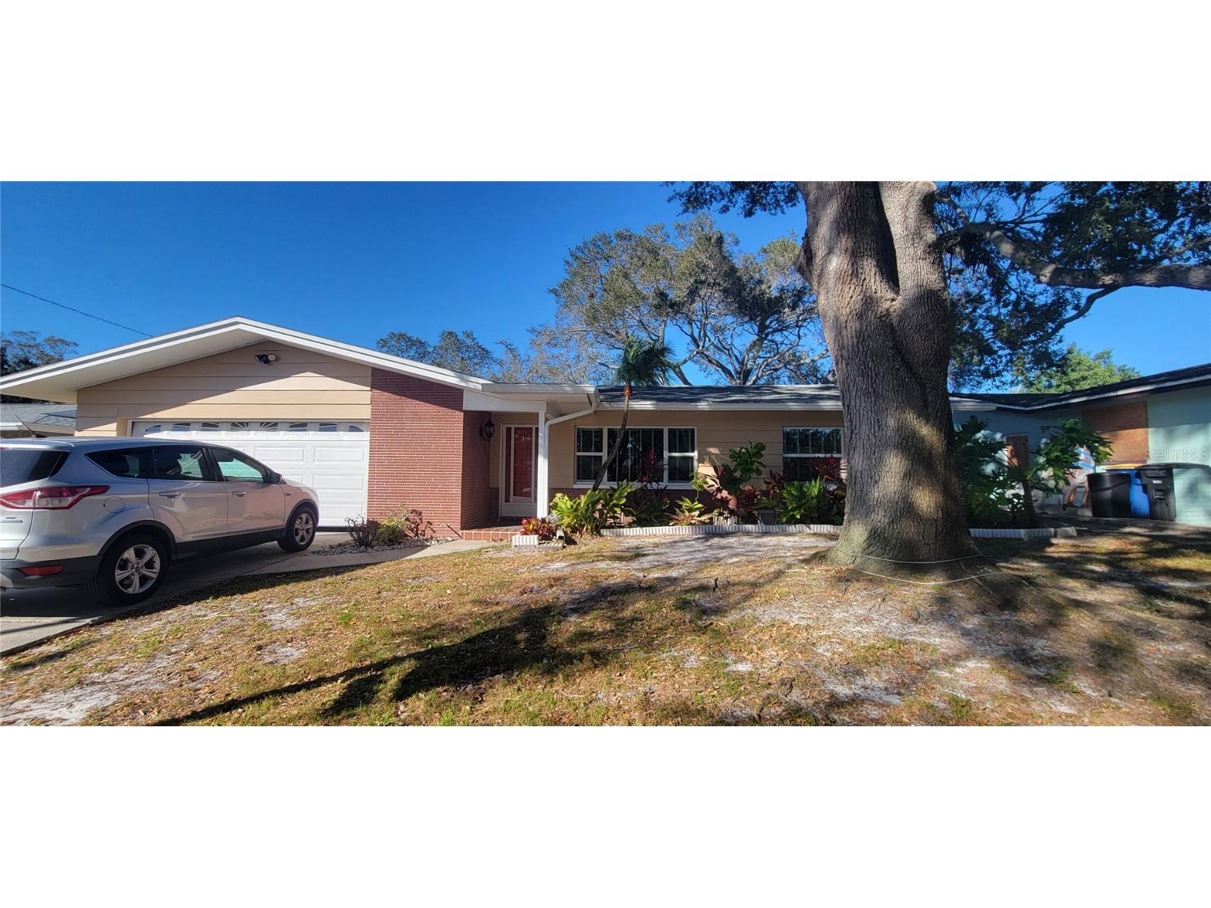 1448 Southridge Drive Clearwater FL 33756 U8221423 image1
