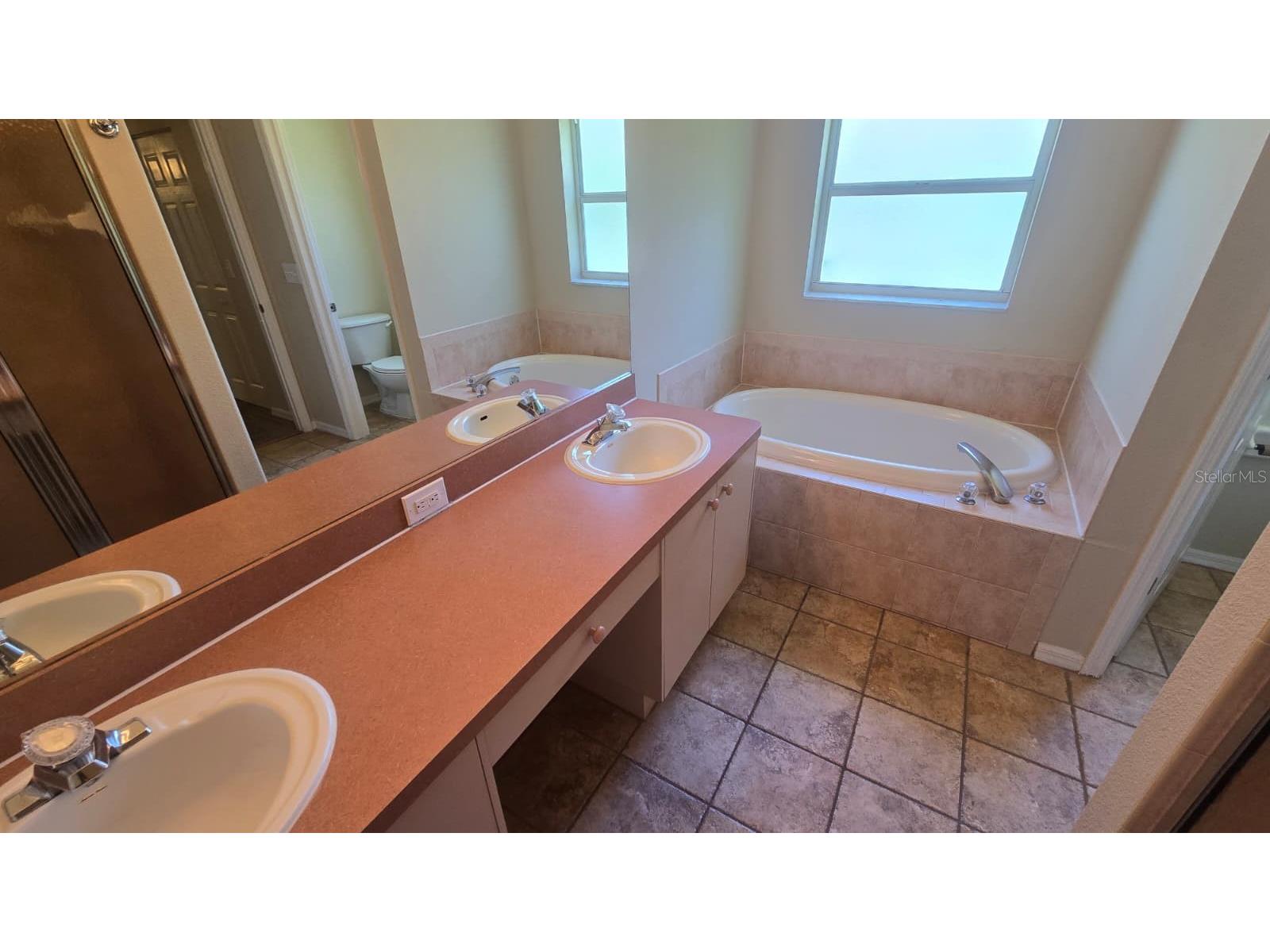 1448 Watermill Circle Tarpon Springs FL 34689 TB8510264 image8