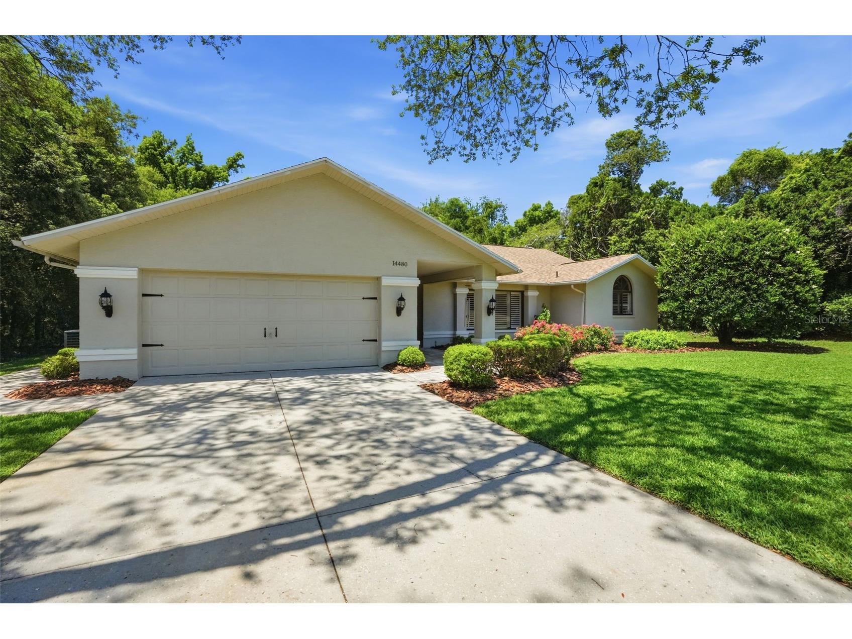 14480 Linden Drive Spring Hill FL 34609 W7885603 image4