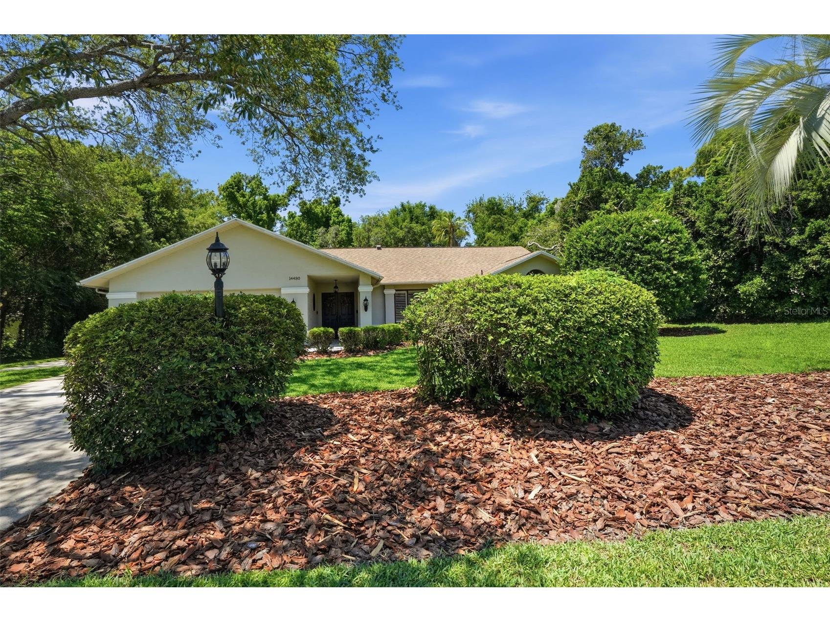 14480 Linden Drive Spring Hill FL 34609 W7885603 image81
