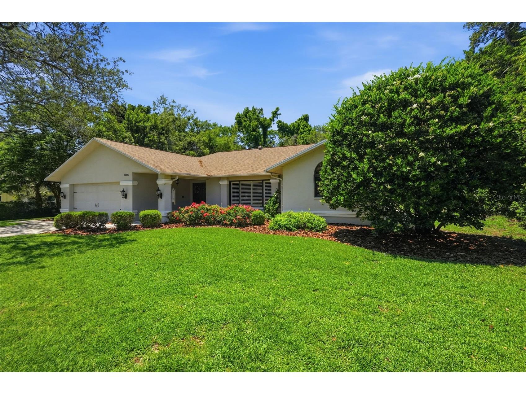 14480 Linden Drive Spring Hill FL 34609 W7885603 image83