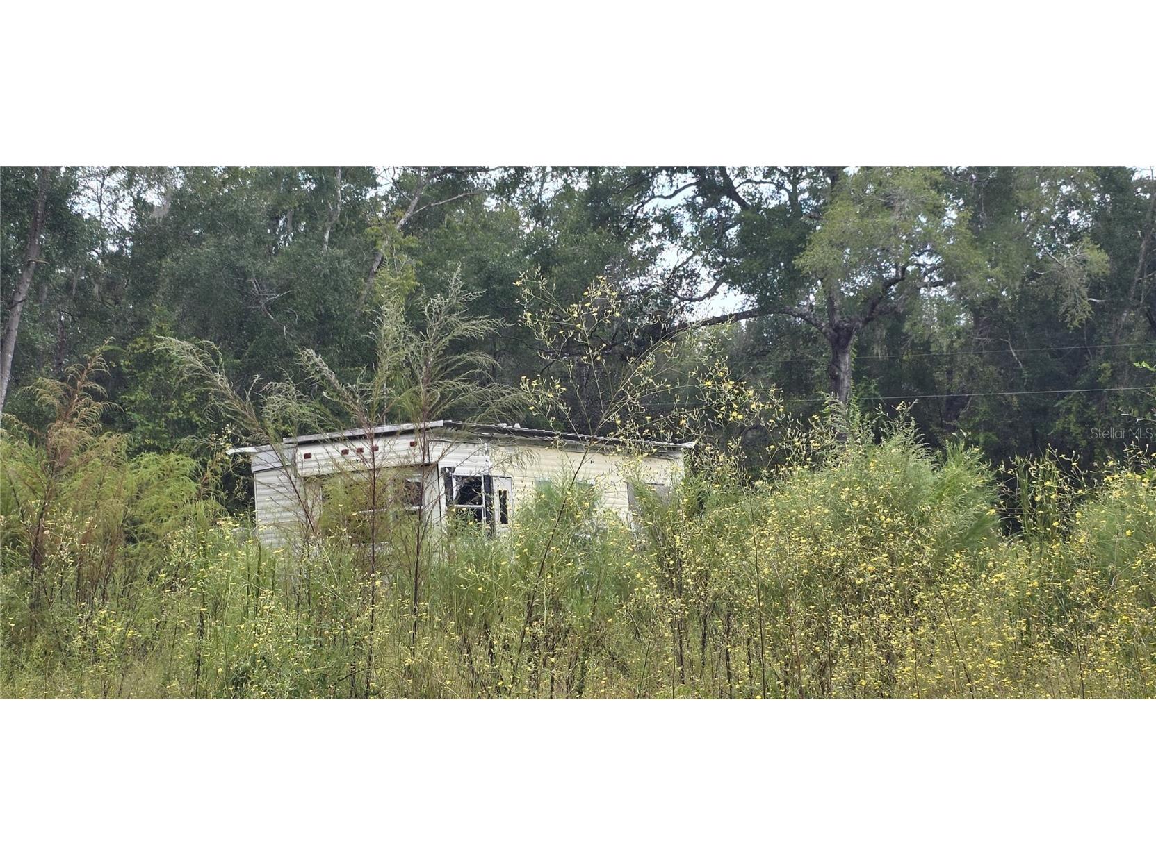 14481 NE 190th Place Fort Mc Coy FL 32134 OM711131 image4