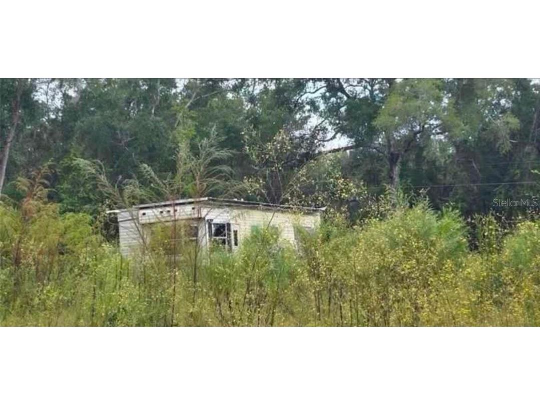 14481 NE 190th Place Fort Mc Coy FL 32134 OM727269 image2
