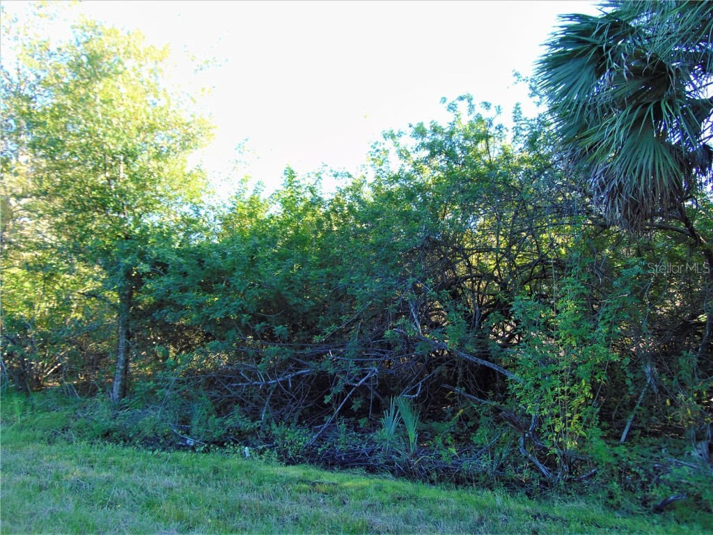 14483 Rowan Avenue Port Charlotte FL 33953 C7451336 image1