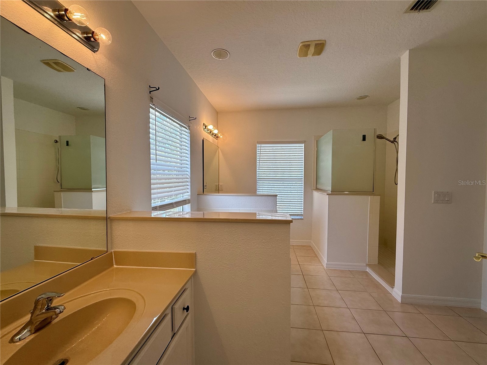 14488 Whittridge Drive Winter Garden FL 34787 O6404890 image31