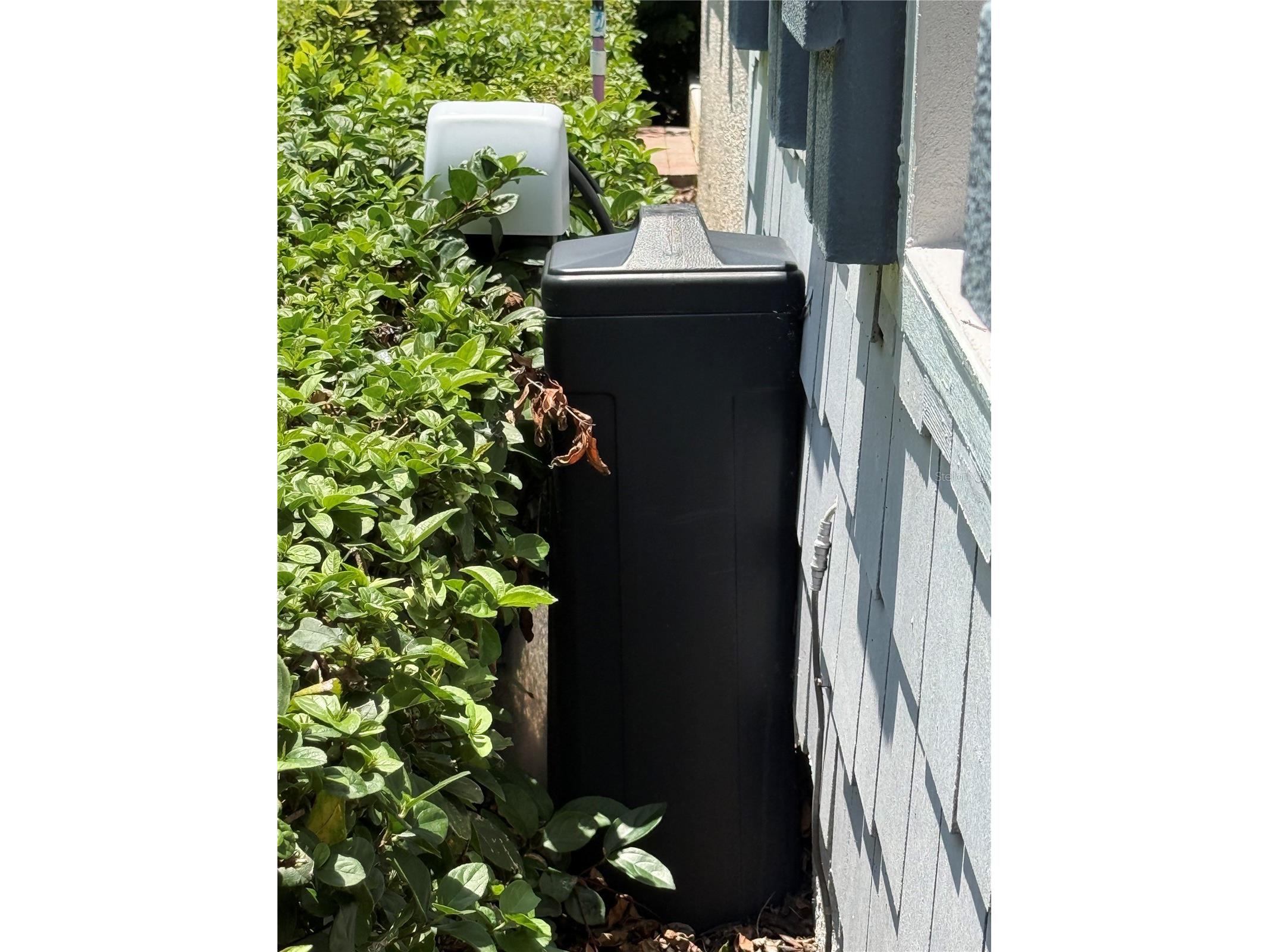 14488 Whittridge Drive Winter Garden FL 34787 O6404890 image38