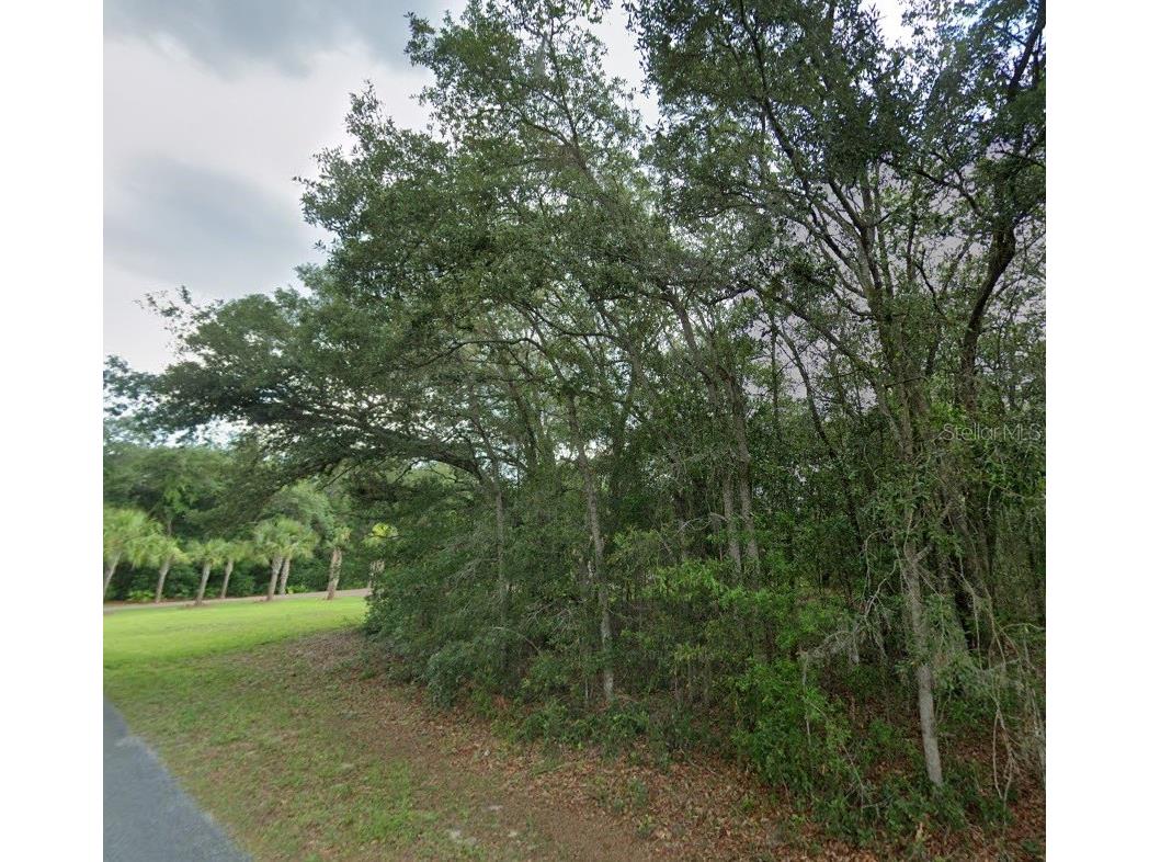1449 E Wedgewood Lane Hernando FL 34442 TB8498773 image1