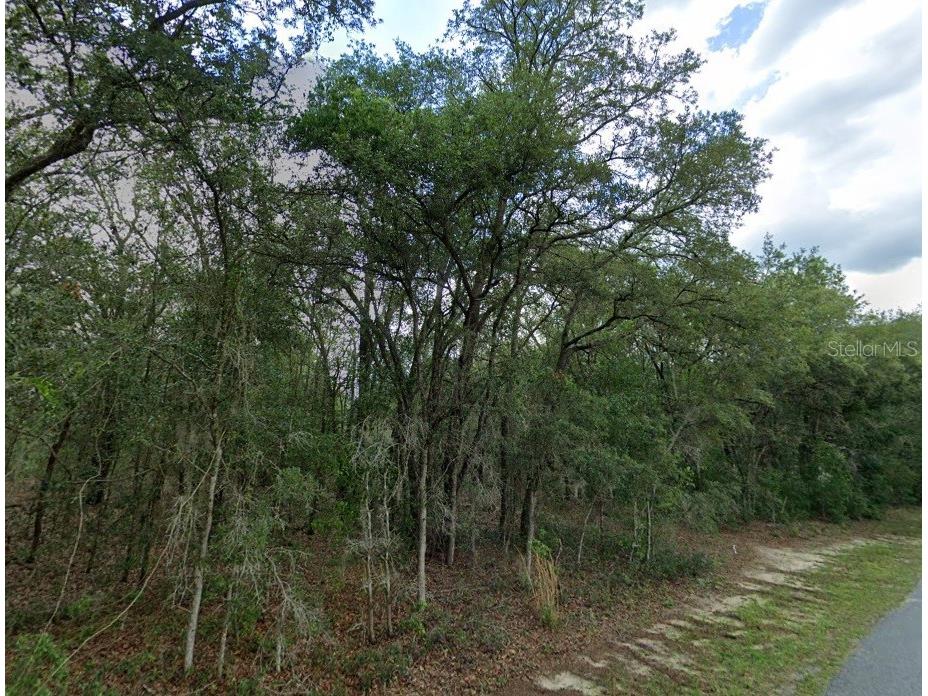 1449 E Wedgewood Lane Hernando FL 34442 TB8498773 image2