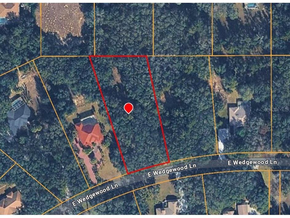 1449 E Wedgewood Lane Hernando FL 34442 TB8498773 image3
