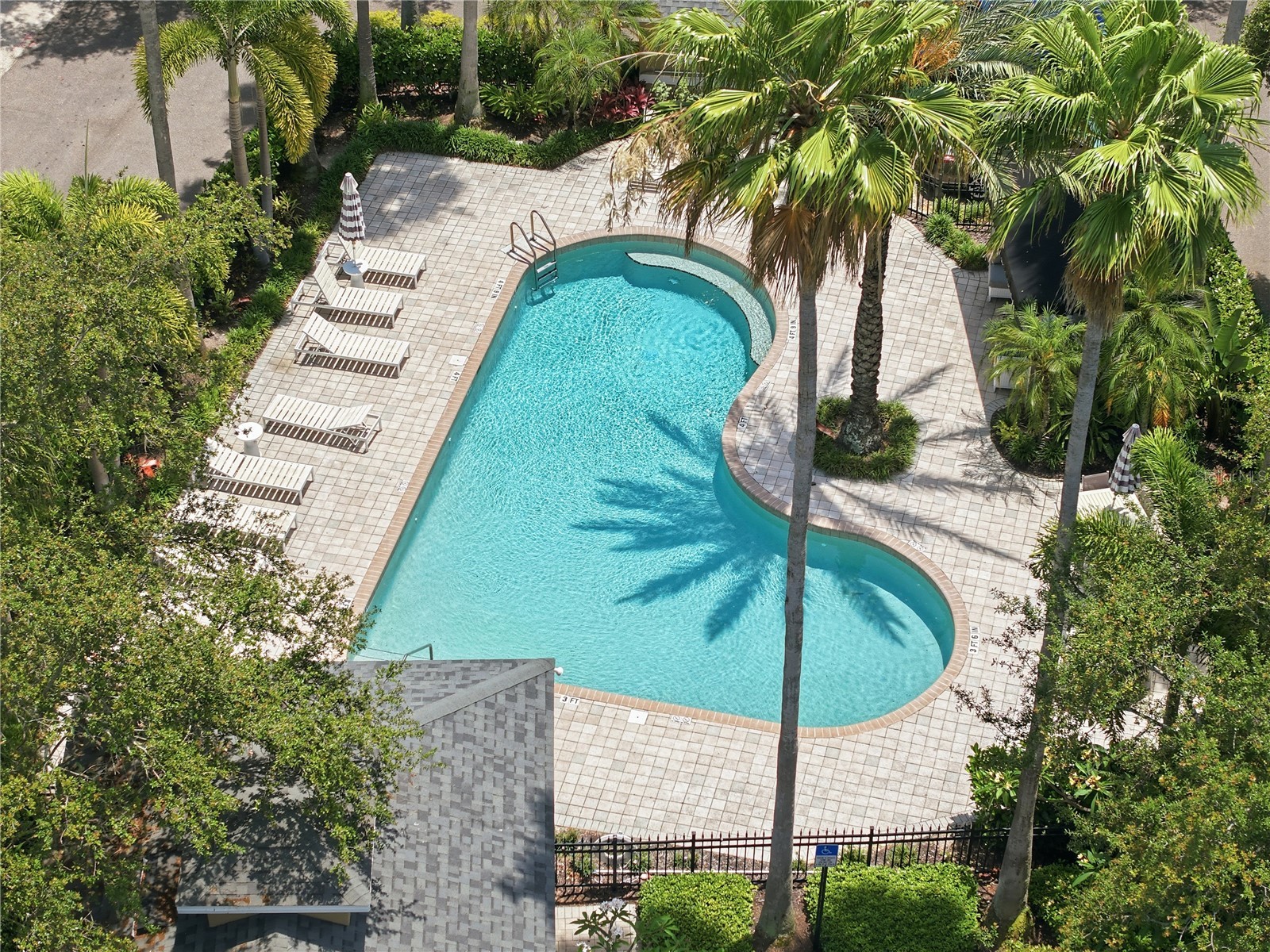 1449 Harbour Walk Road Tampa FL 33602 TB8508329 image28