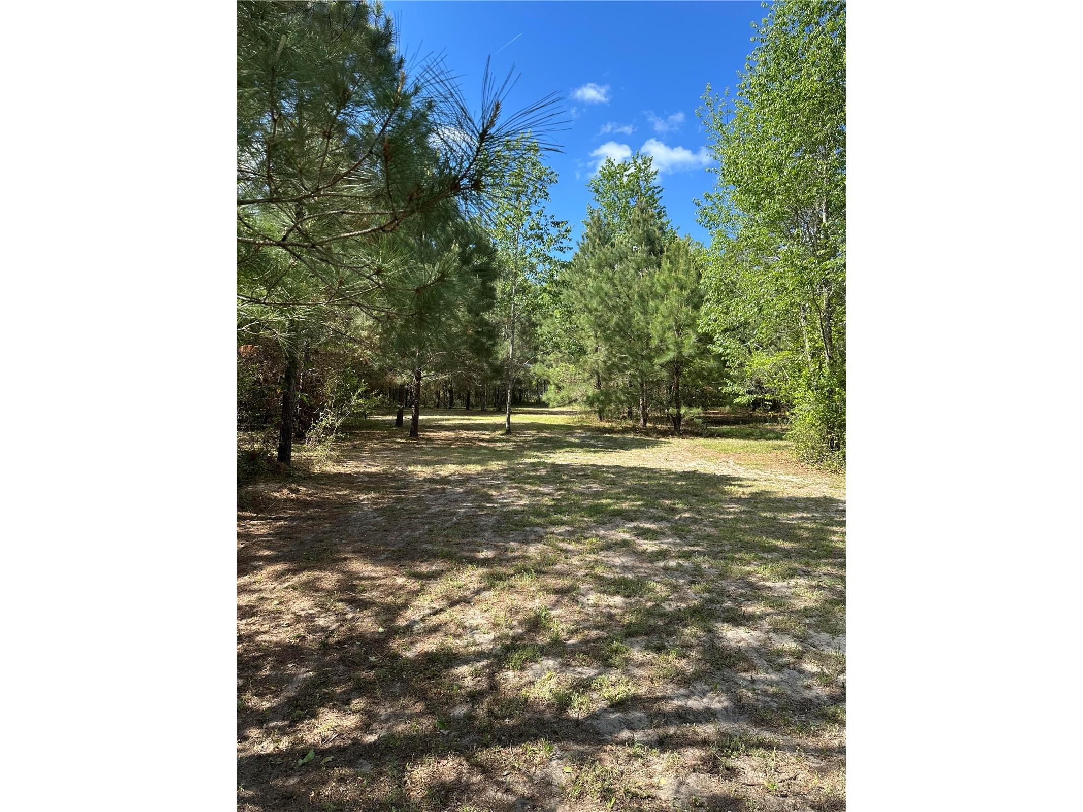 1449 SE October Road Lake City FL 32025 O6408505 image1