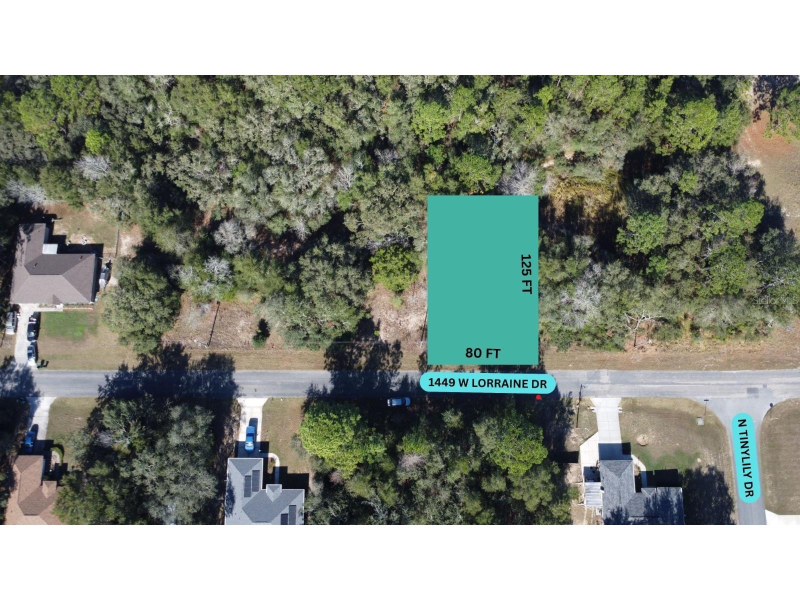 1449 W Lorraine Drive Citrus Springs FL 34434 W7881436 image1