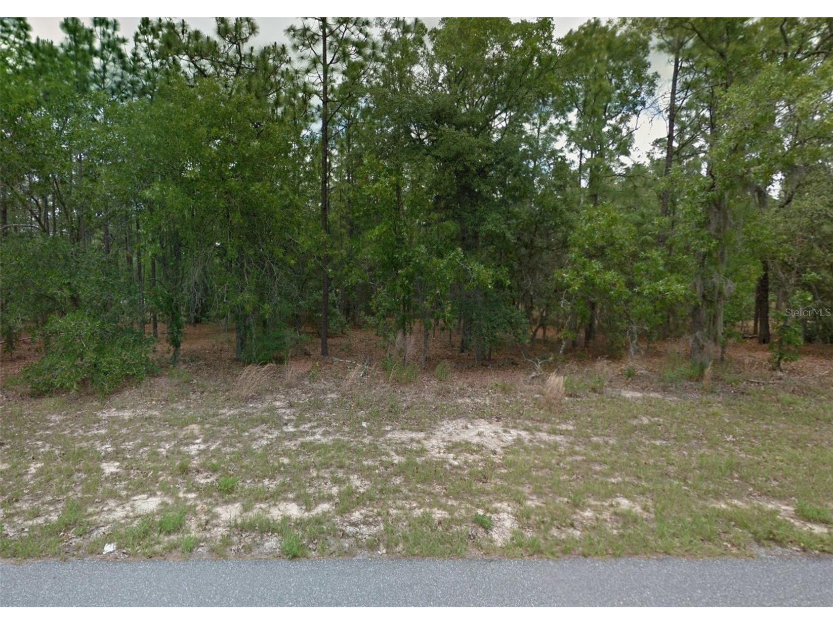 1449 W Omaha Place Citrus Springs FL 34434 OM718643 image1