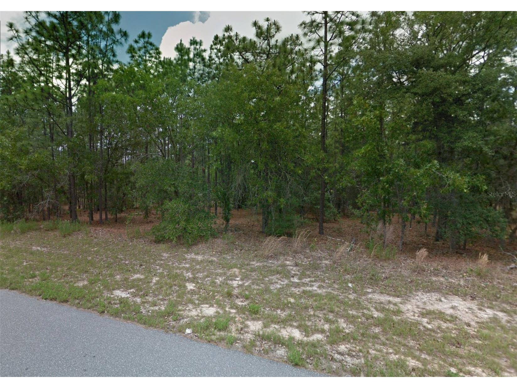 1449 W Omaha Place Citrus Springs FL 34434 OM718643 image2