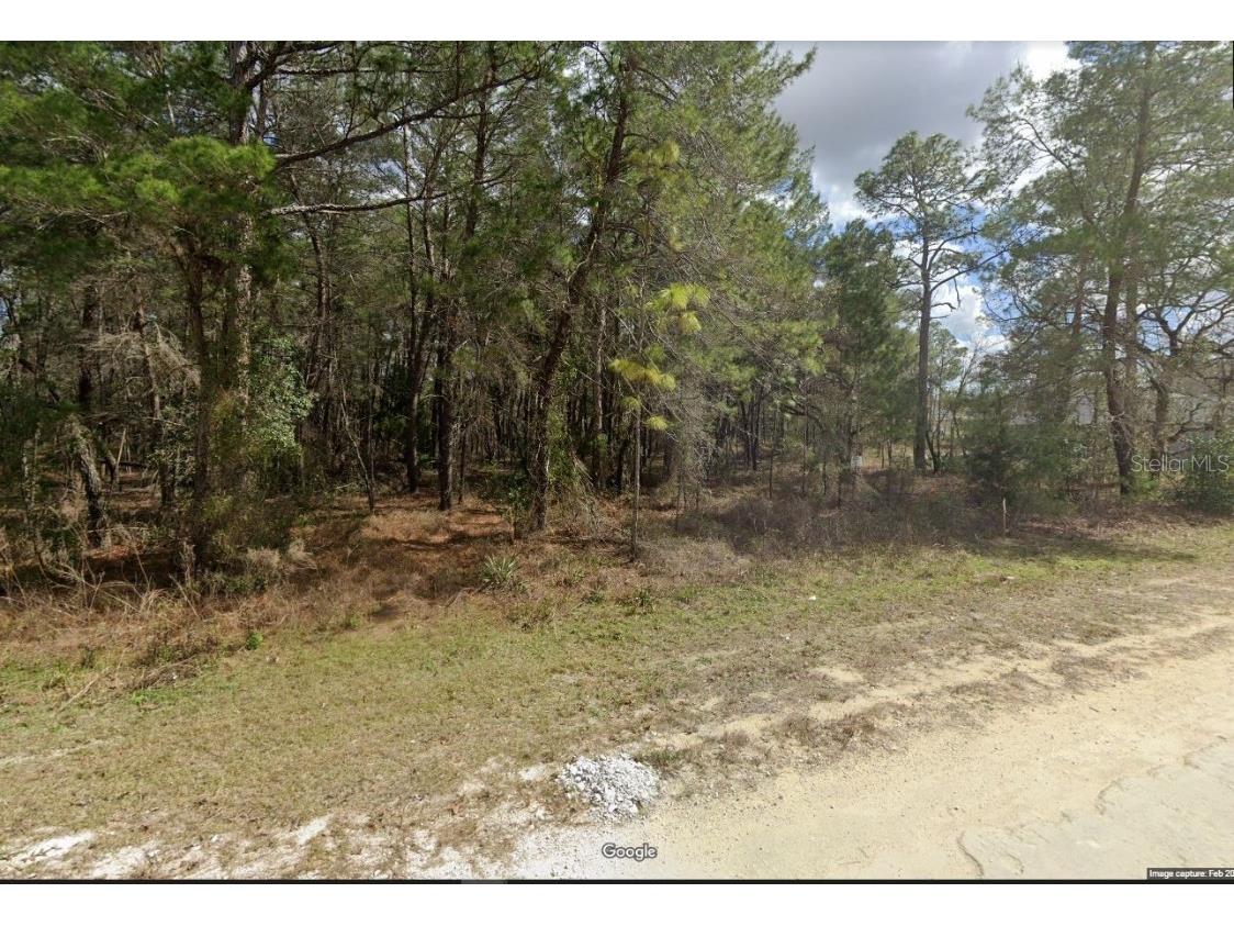 14490 Lelani Drive Weeki Wachee FL 34614 T3469155 image1