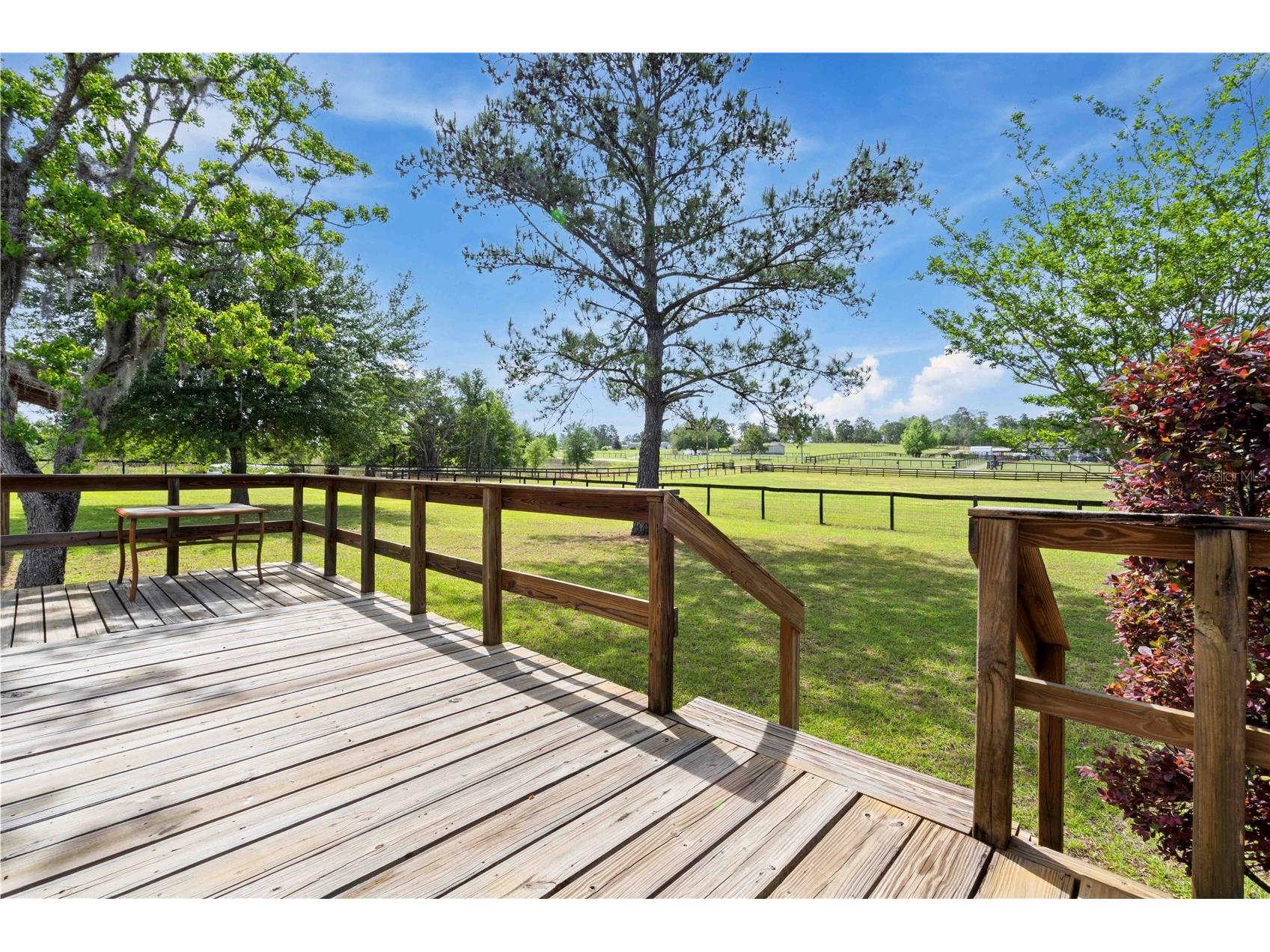 14491 SE 68th Lane Morriston FL 32668 OM722652 image20