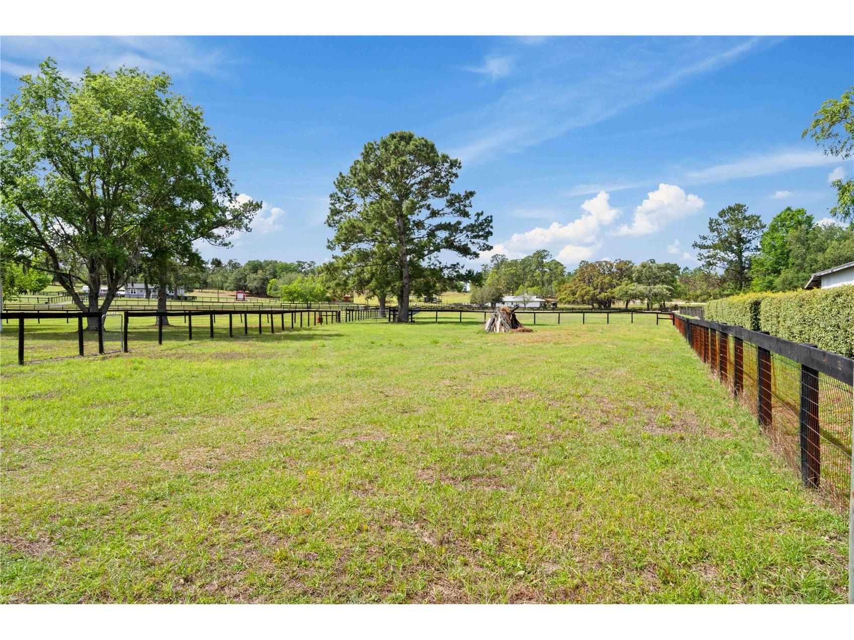 14491 SE 68th Lane Morriston FL 32668 OM722652 image24