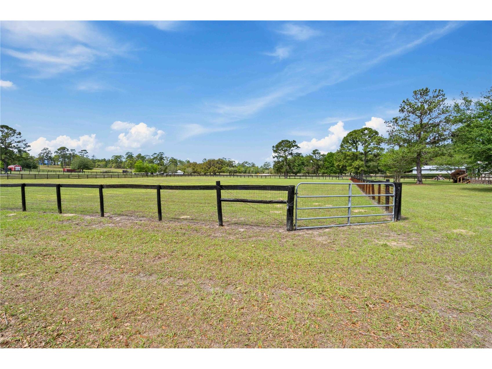 14491 SE 68th Lane Morriston FL 32668 OM722652 image25