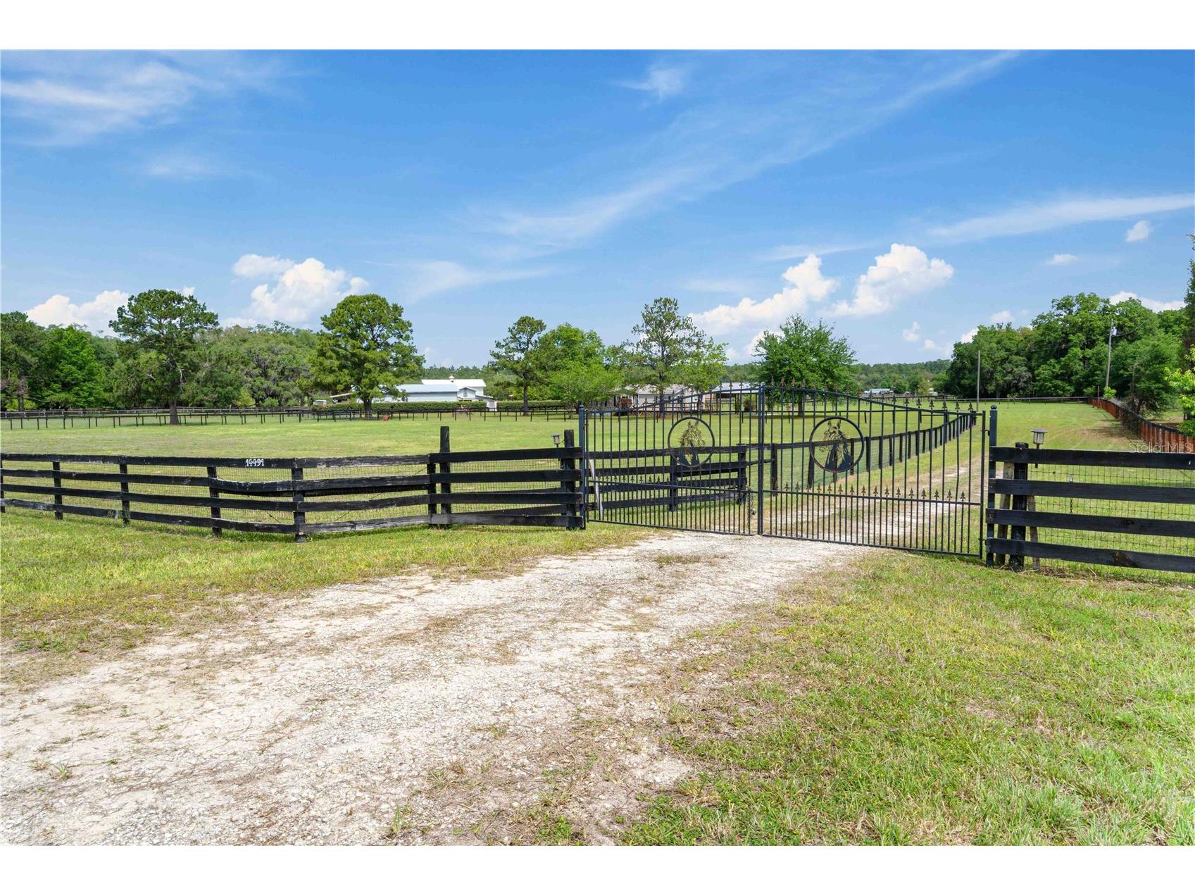14491 SE 68th Lane Morriston FL 32668 OM722652 image27