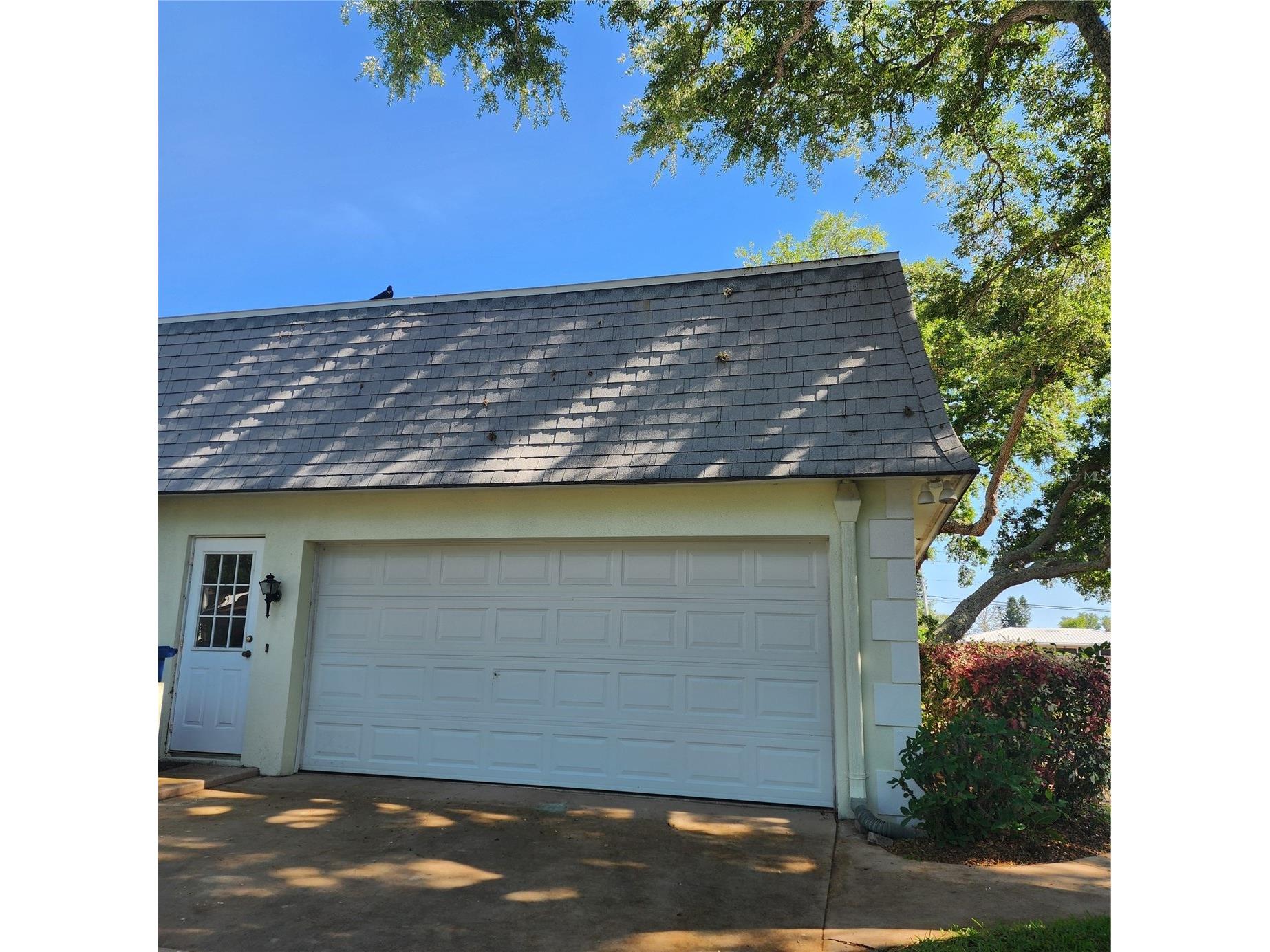 14492 Oakglen Drive N Largo FL 33774 TB8503155 image12