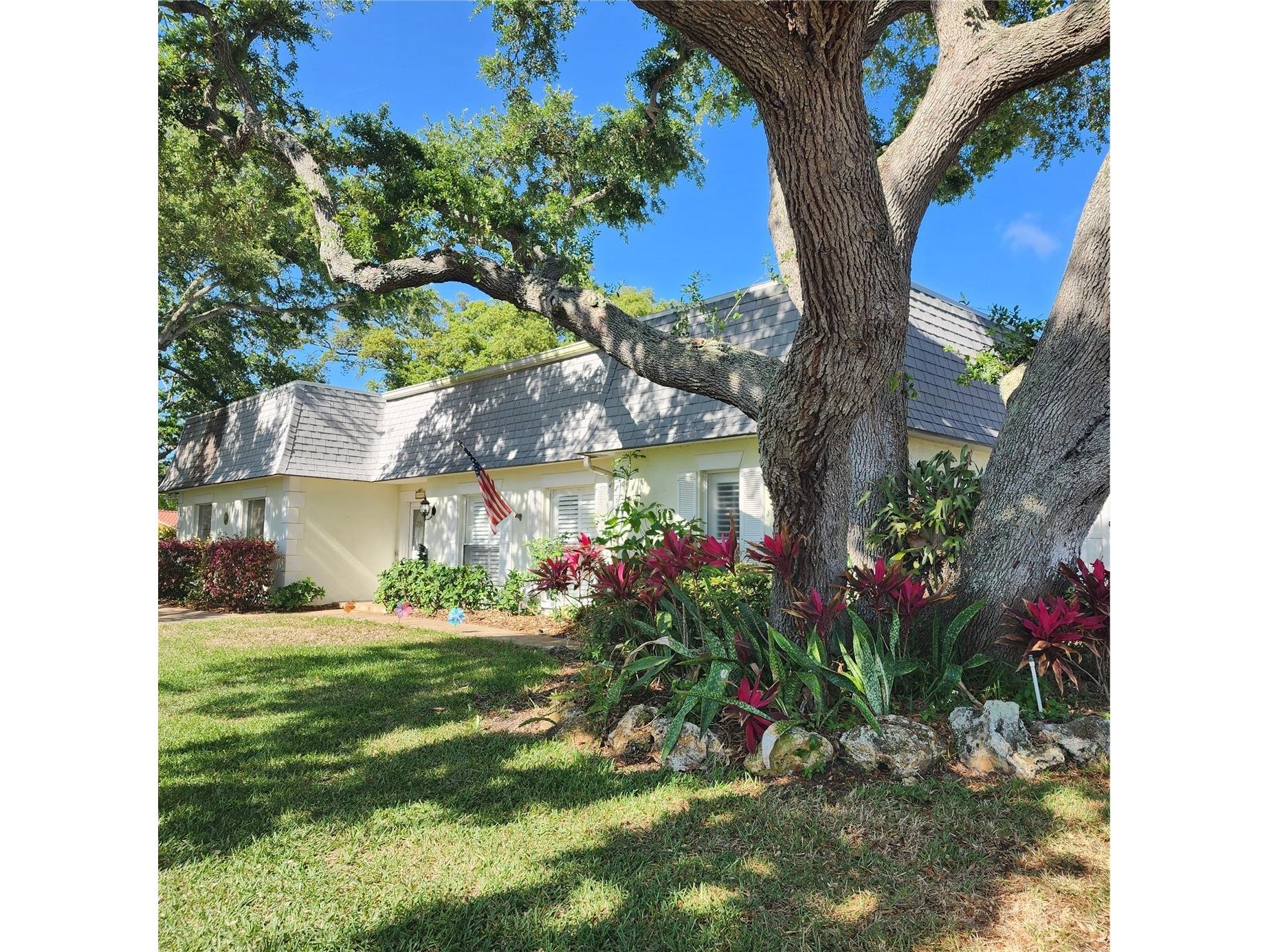 14492 Oakglen Drive N Largo FL 33774 TB8503155 image8