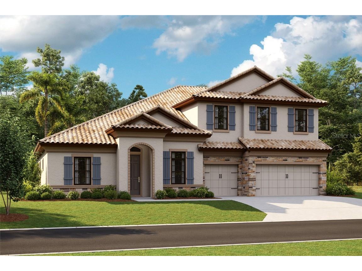 14495 Swiss Bridge Drive Lithia FL 33547 T3540319 image1