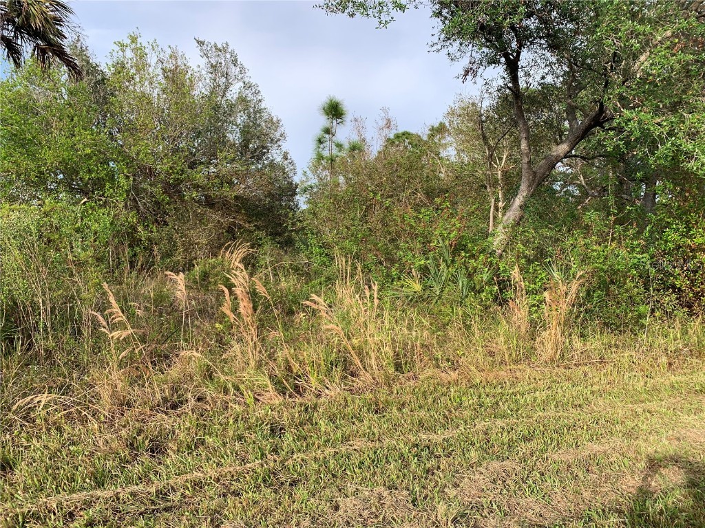 14495 Twining Avenue Port Charlotte FL 33953 C7500705 image1