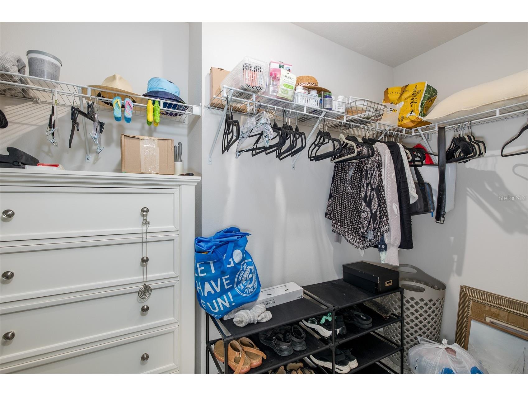 14496 Promenade Parkway Odessa FL 33556 W7886161 image16