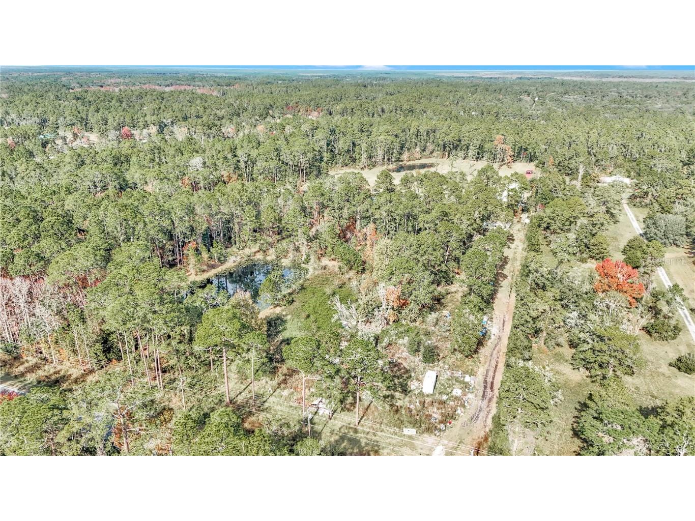 14497 E Highway 316 Fort Mc Coy FL 32134 O6262385 image1