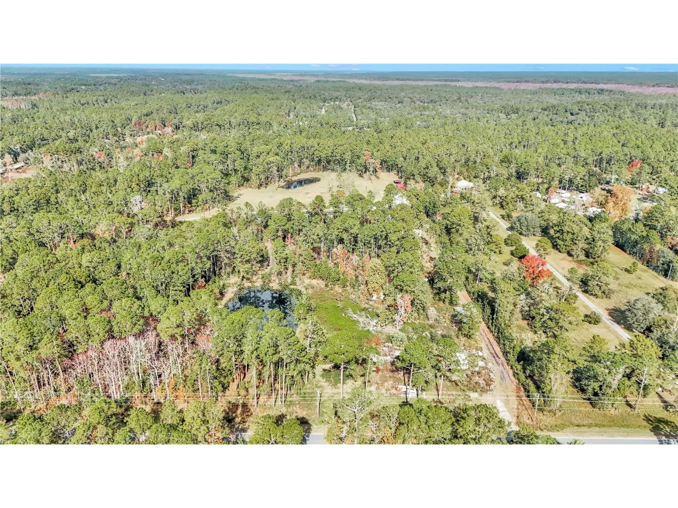 14497 E Highway 316 Fort Mc Coy FL 32134 O6262385 image2